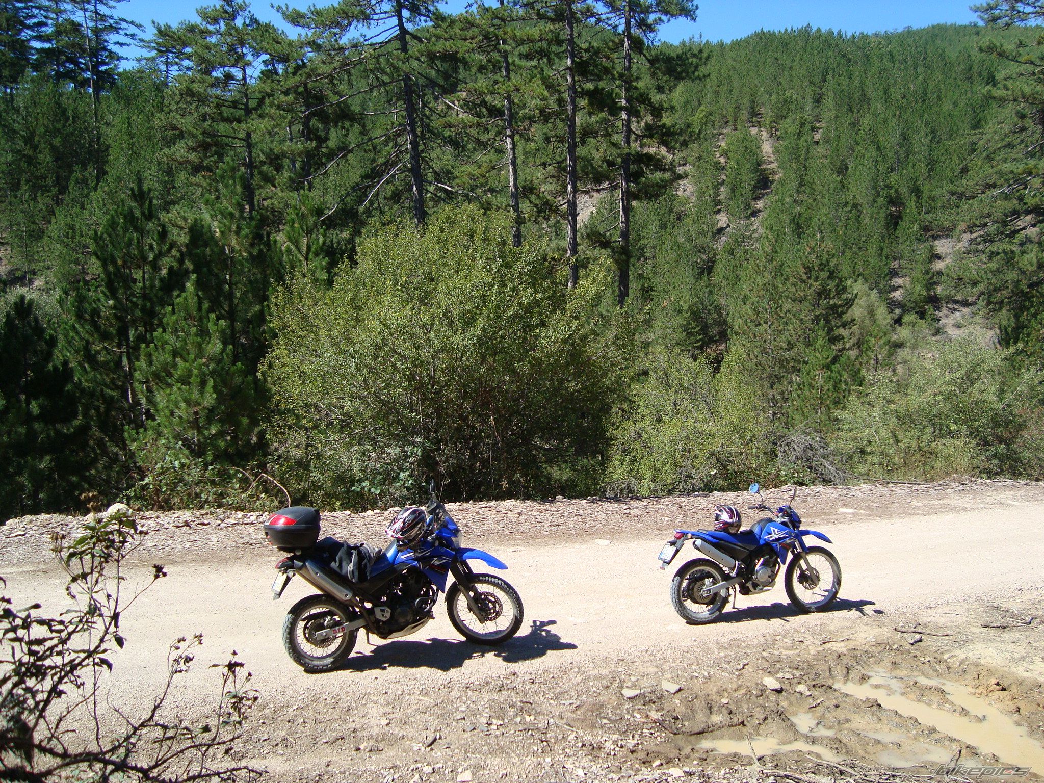Bike Photo 2459116