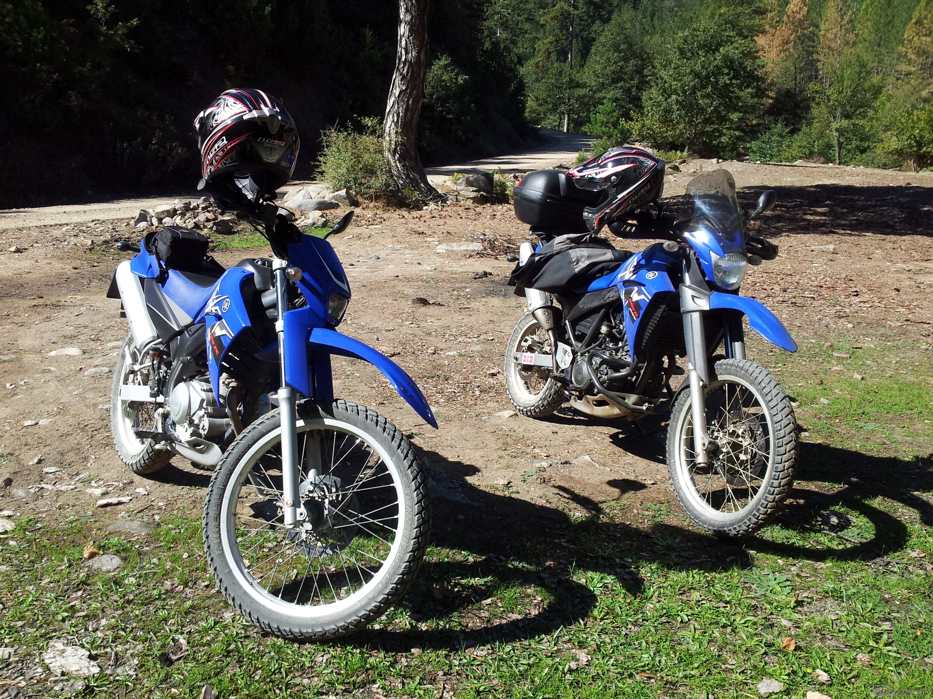 Bike Photo 2459123