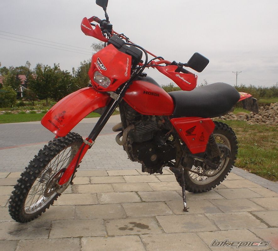 Photo 2459125