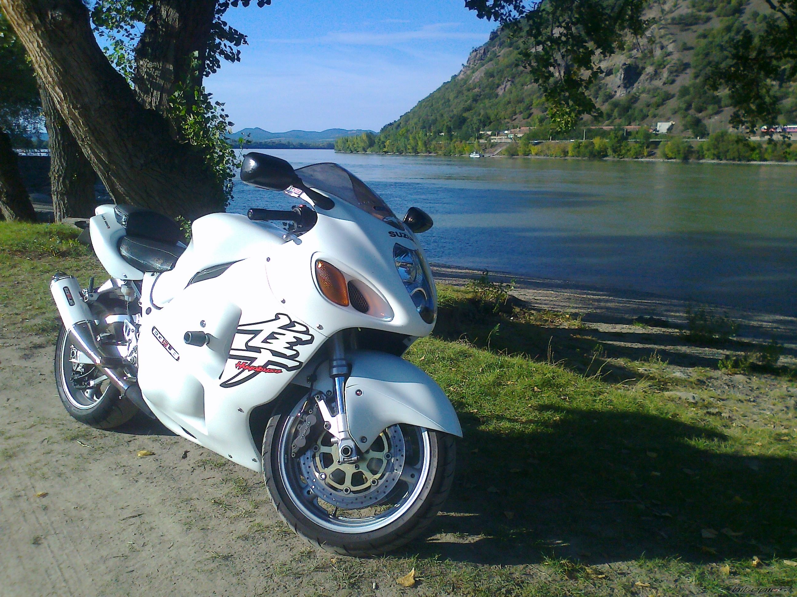 Photo 2459130