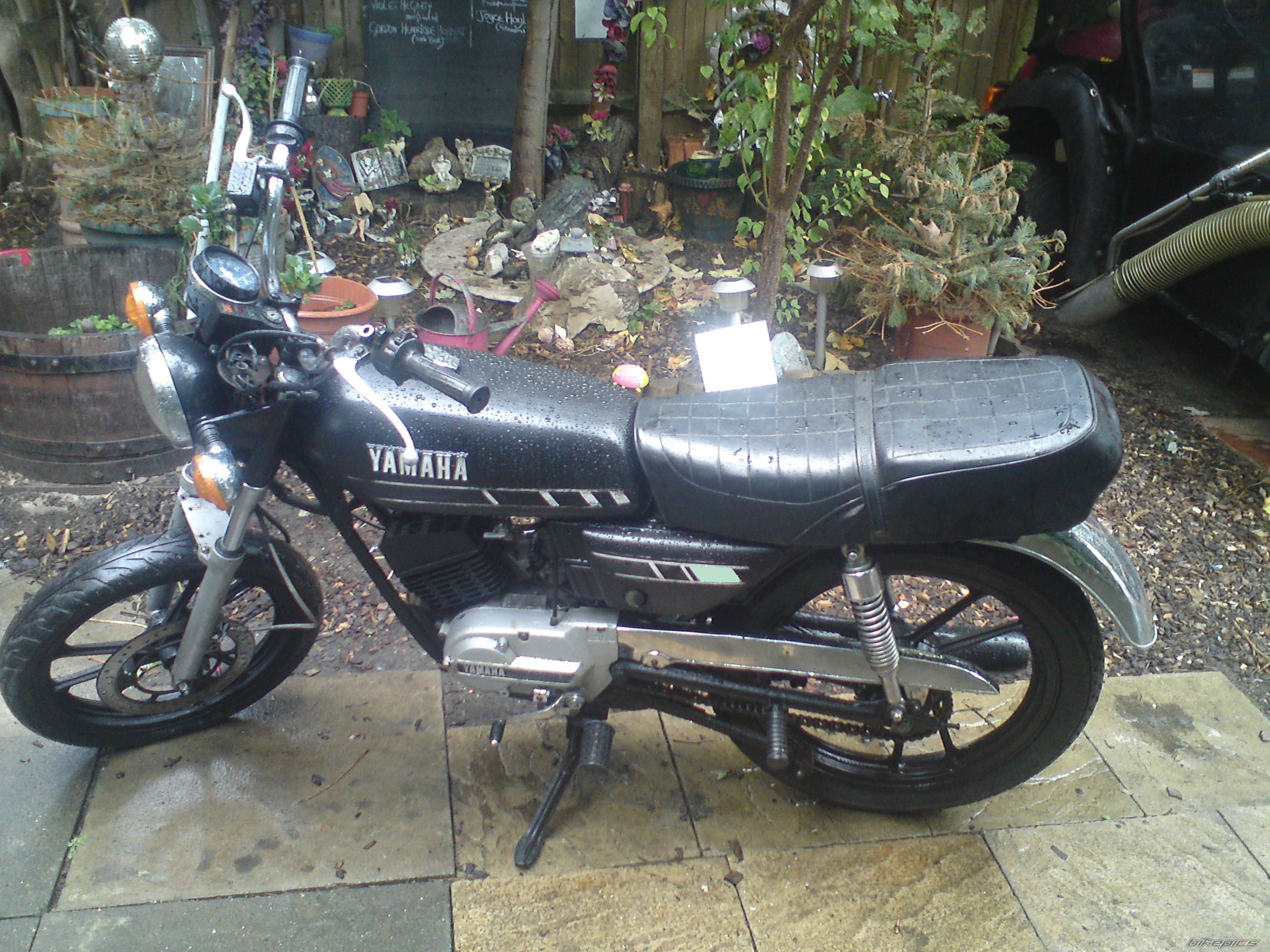 Photo 2459152