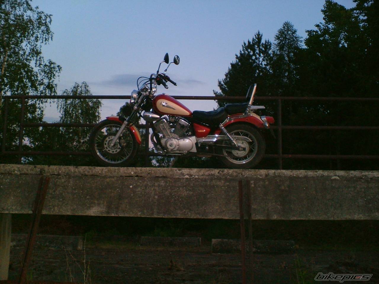 Photo 245924