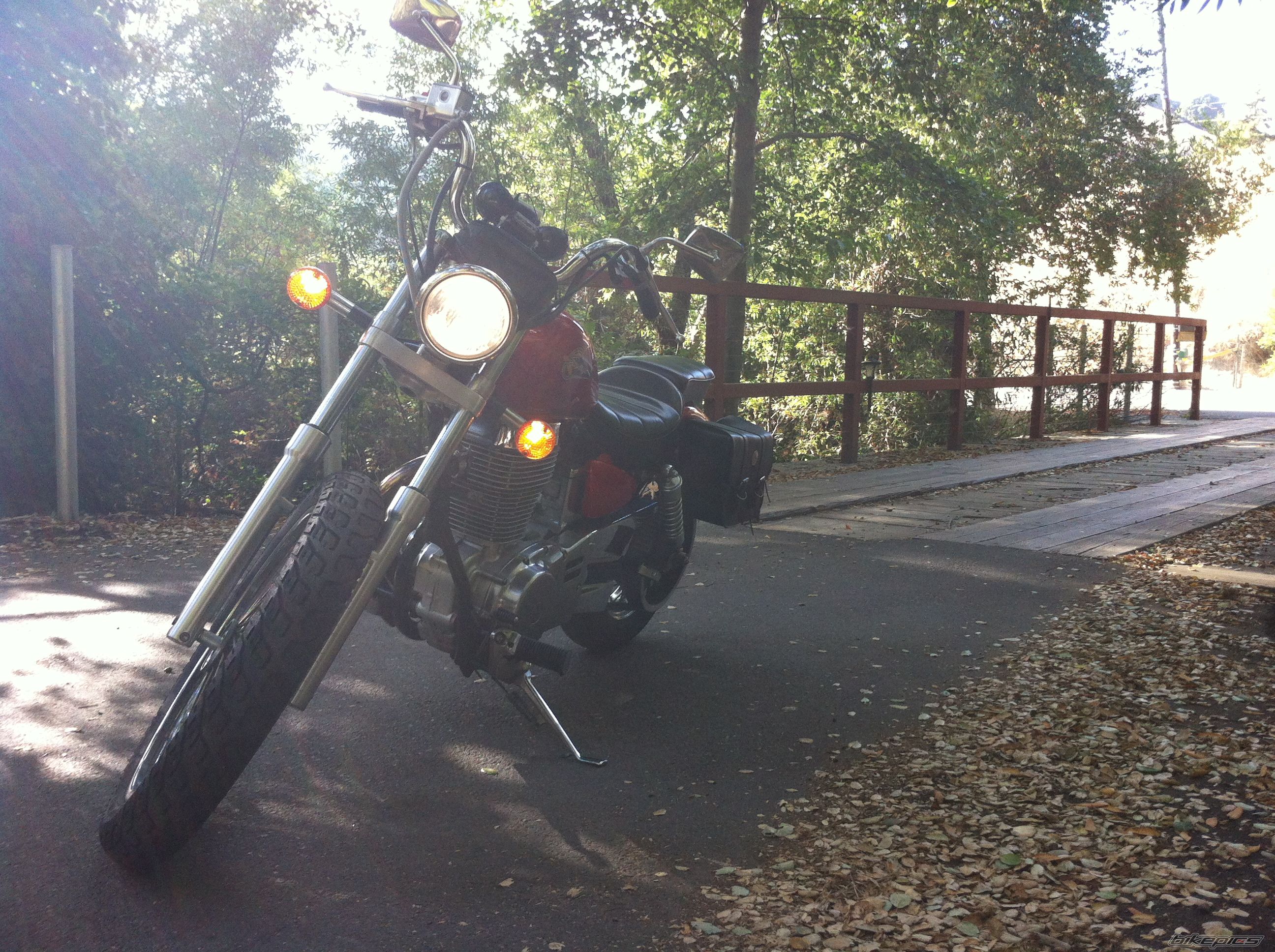 Photo 2459240