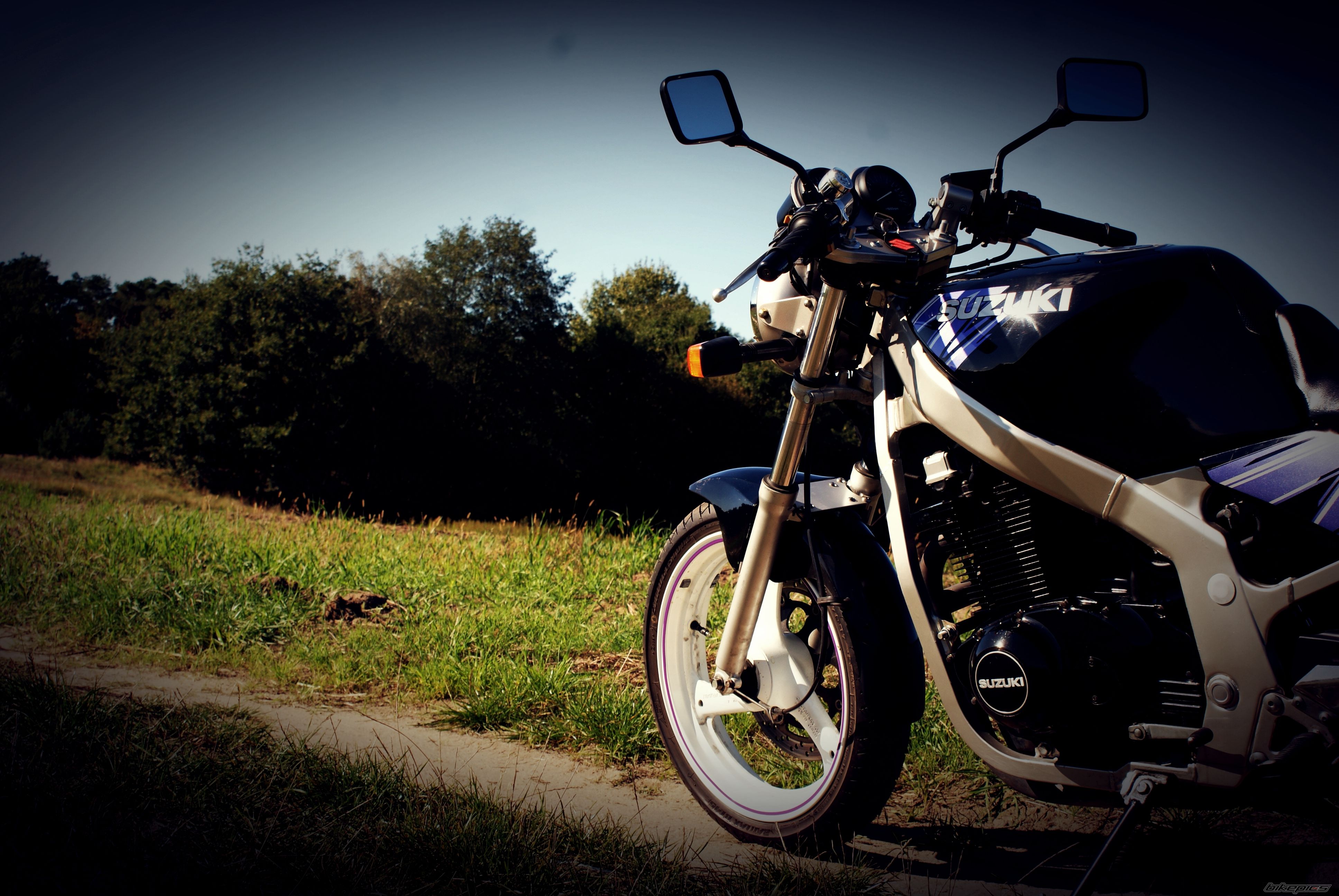 Photo 2459281
