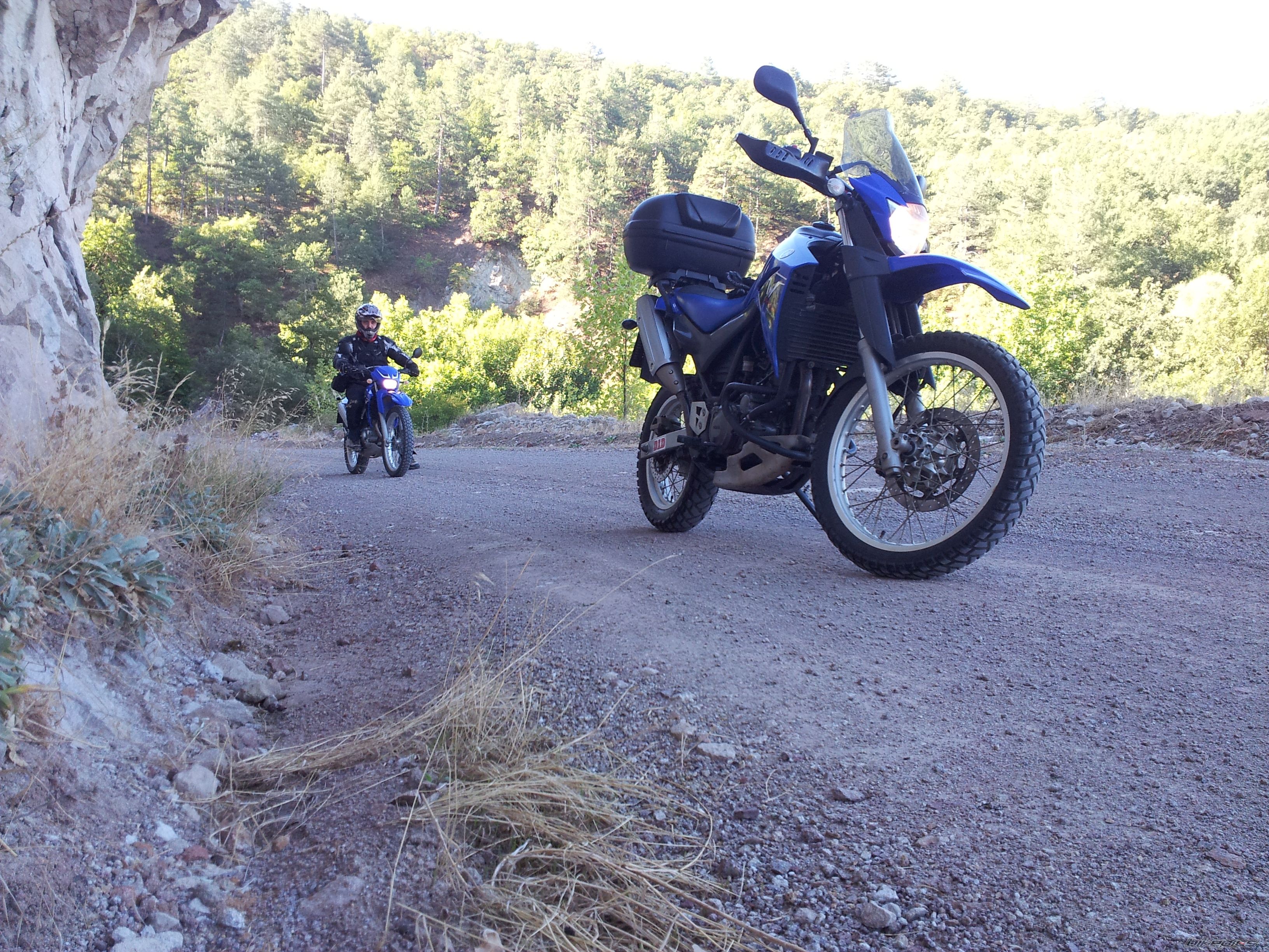Bike Photo 2459290
