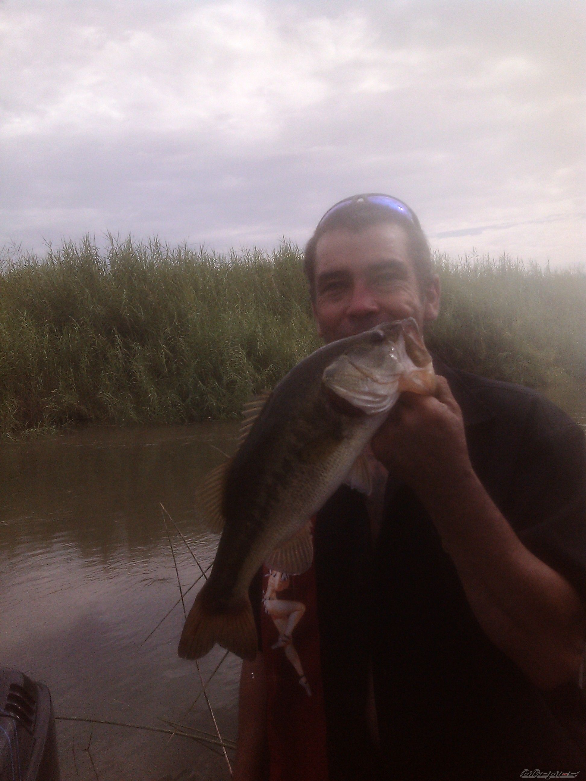 Photo 2459301
