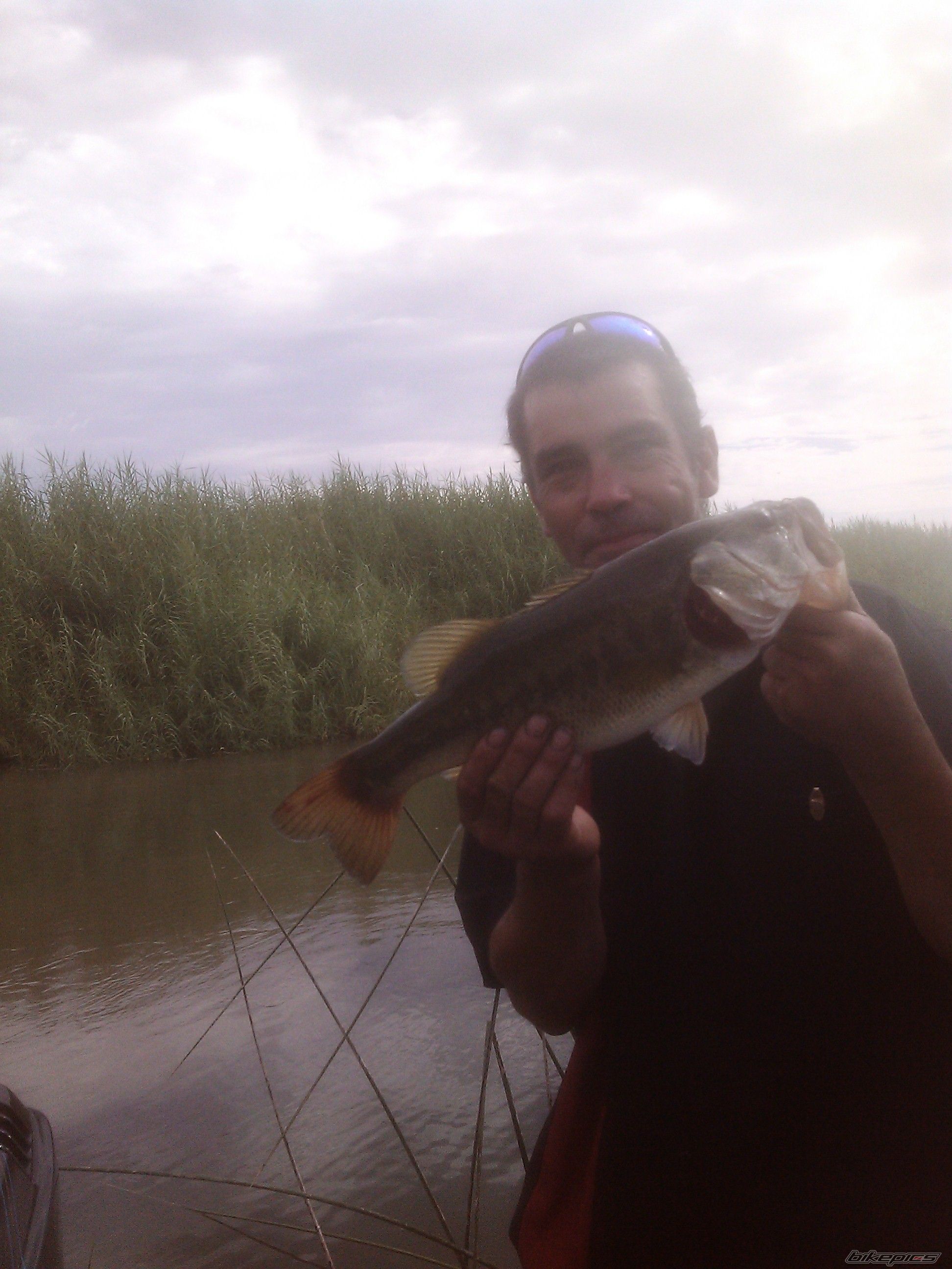 Photo 2459302