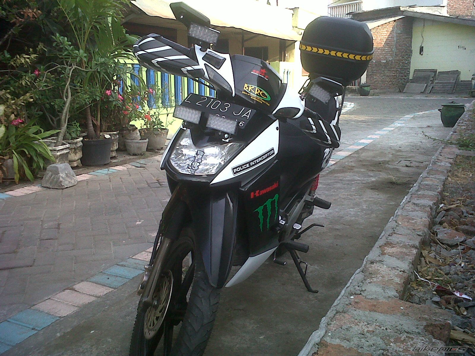Photo 2459328