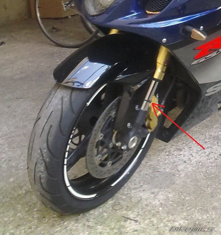 Photo 2459332