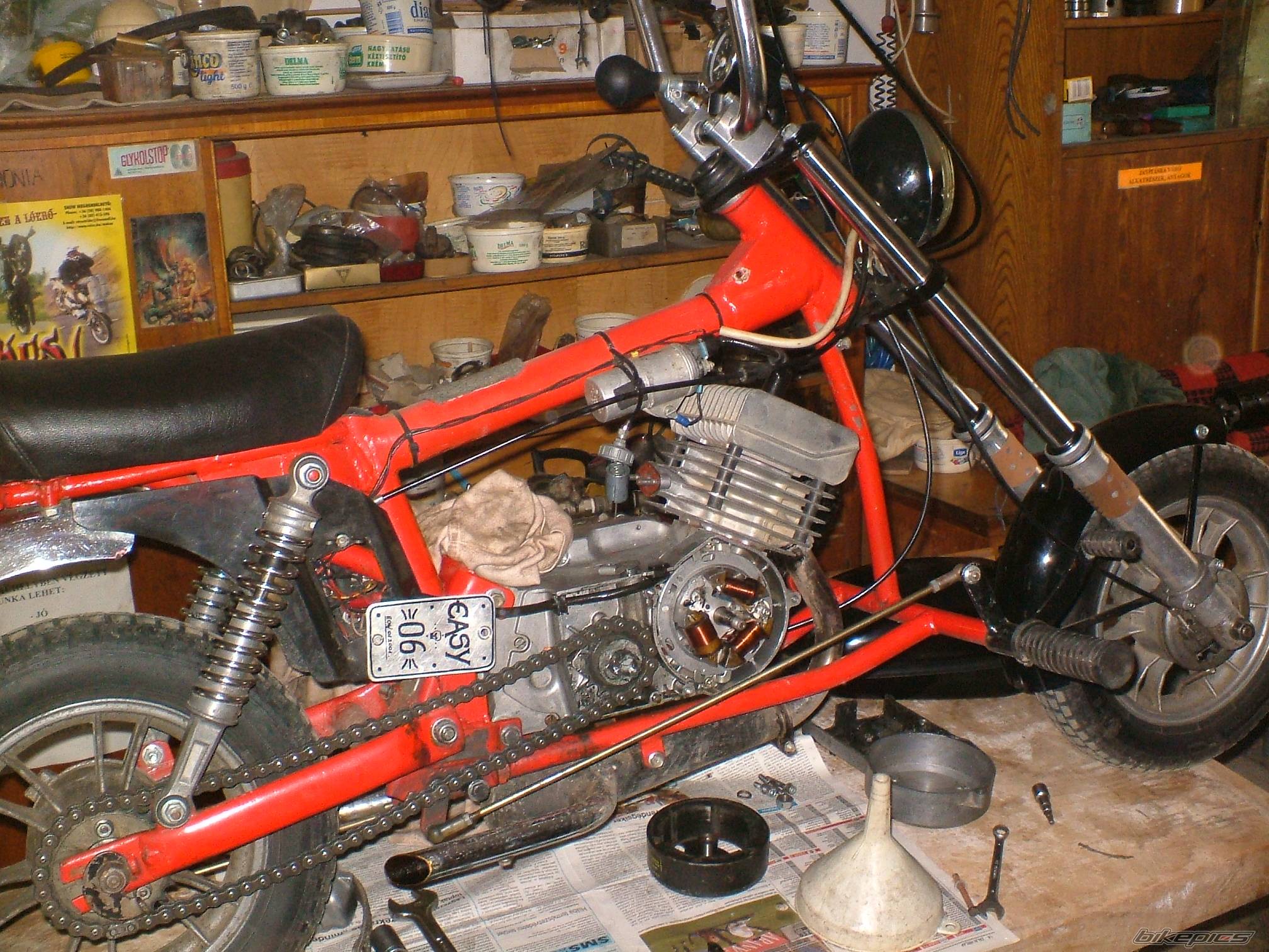 Photo 245934