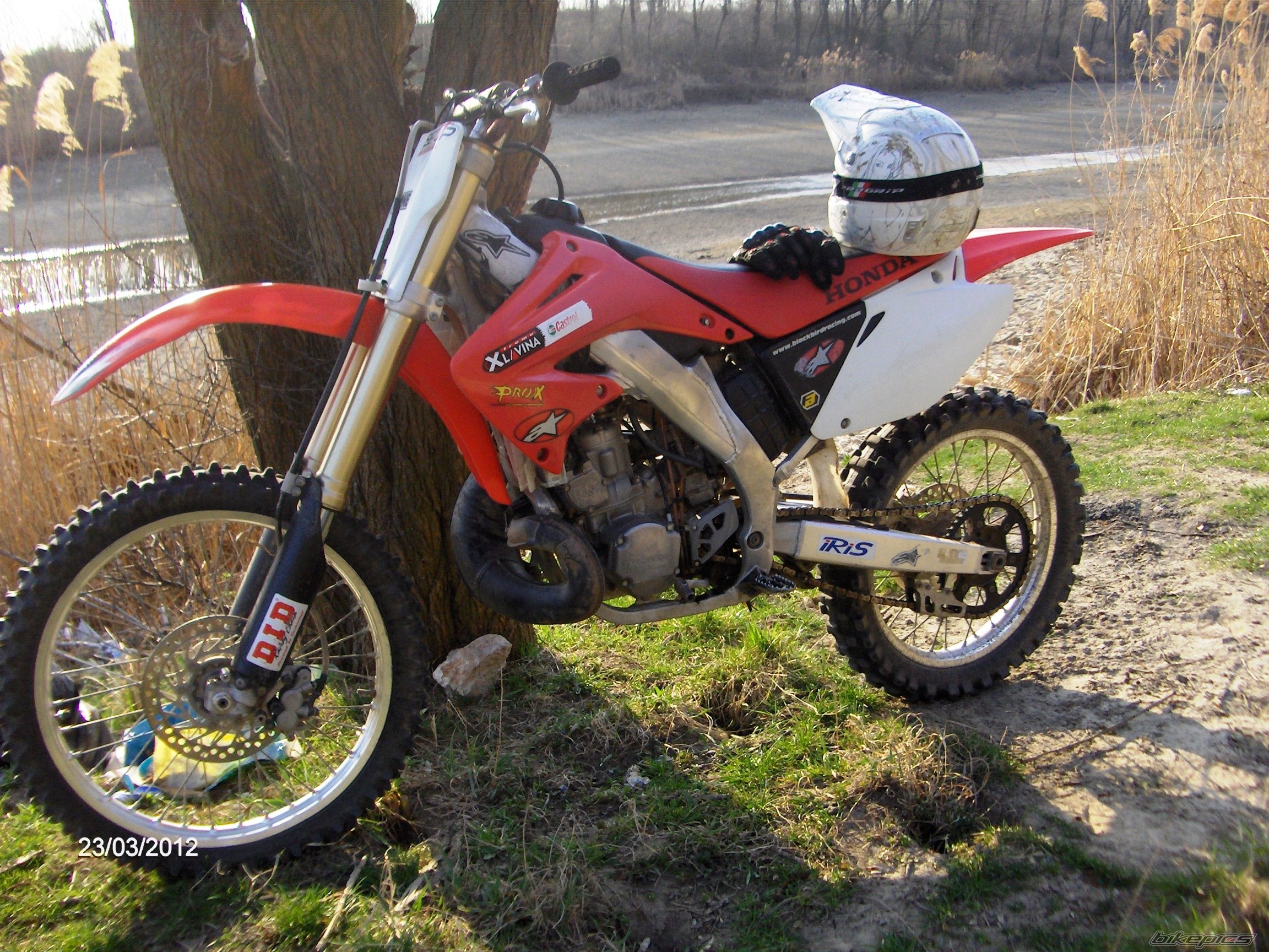 Photo 2459342