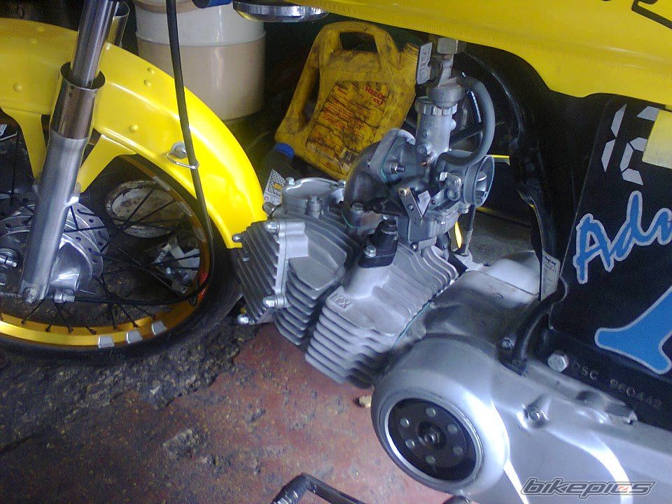 Photo 2459376