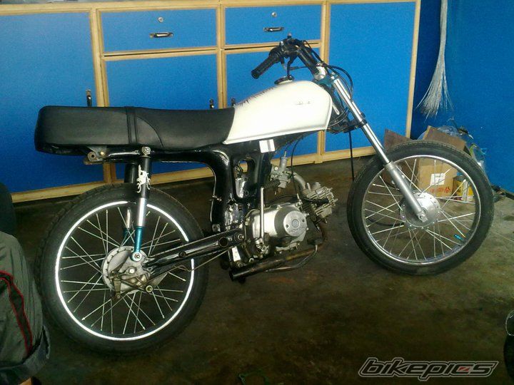 Photo 2459378