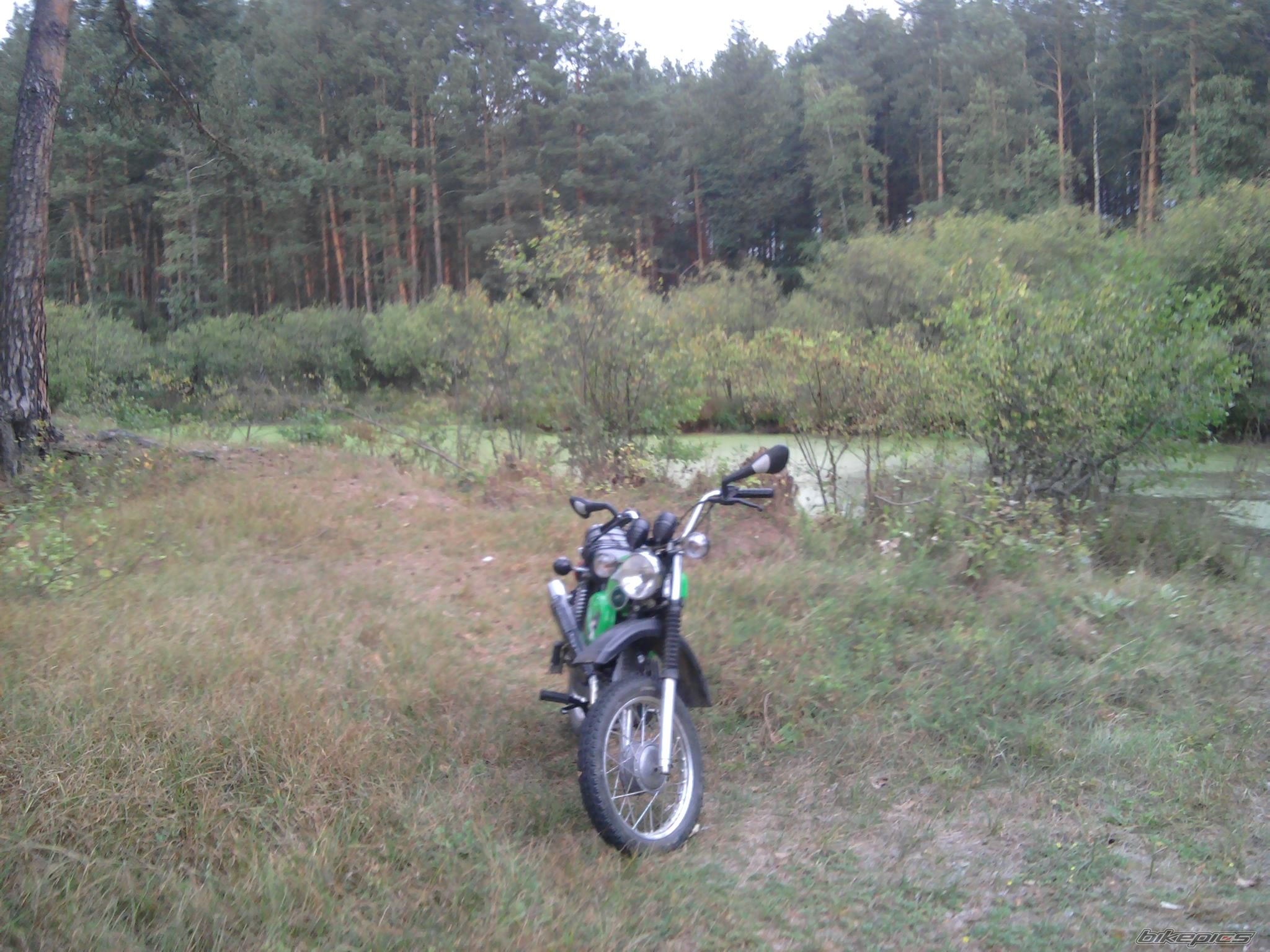Photo 2459425