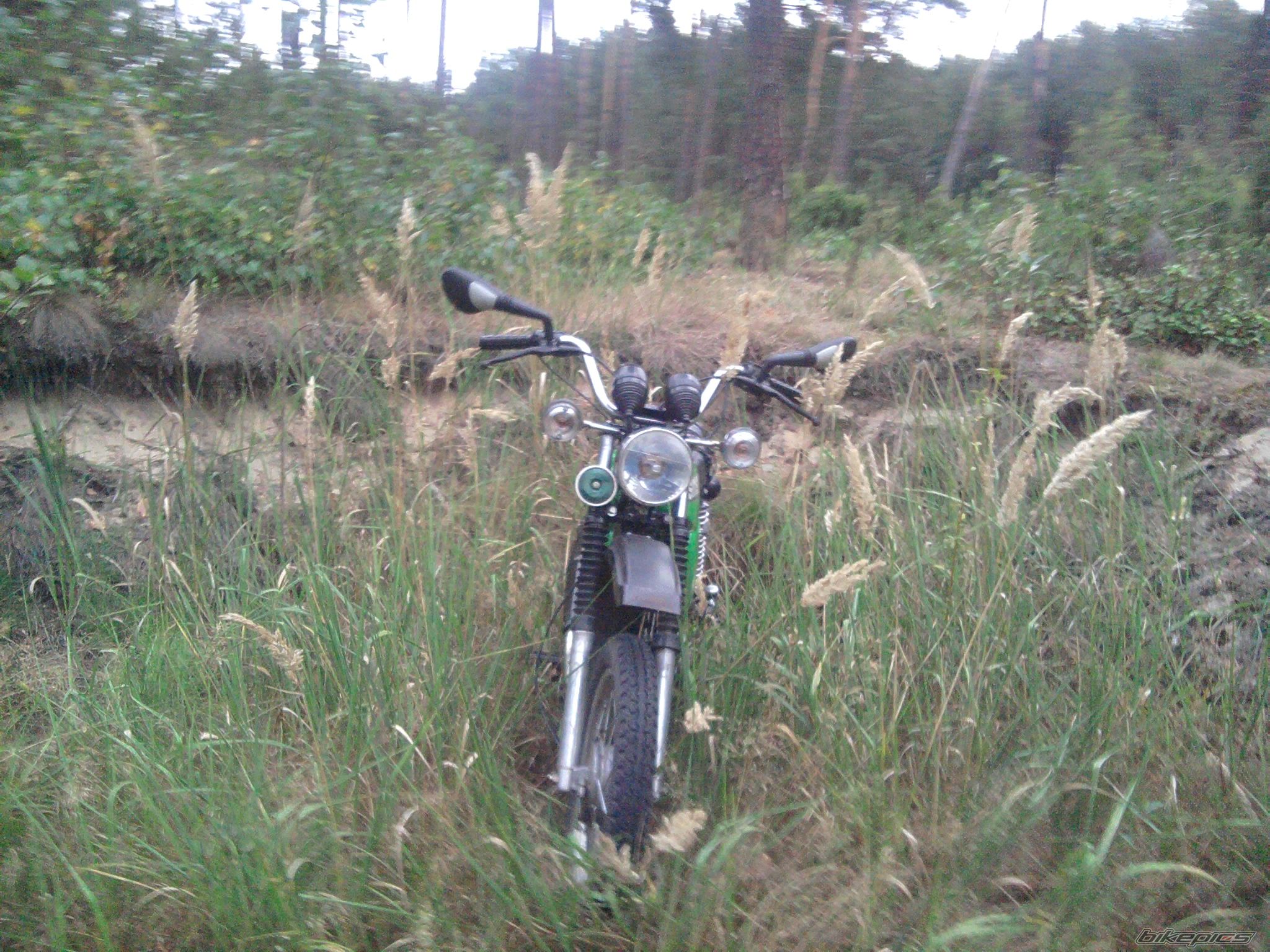 Photo 2459454
