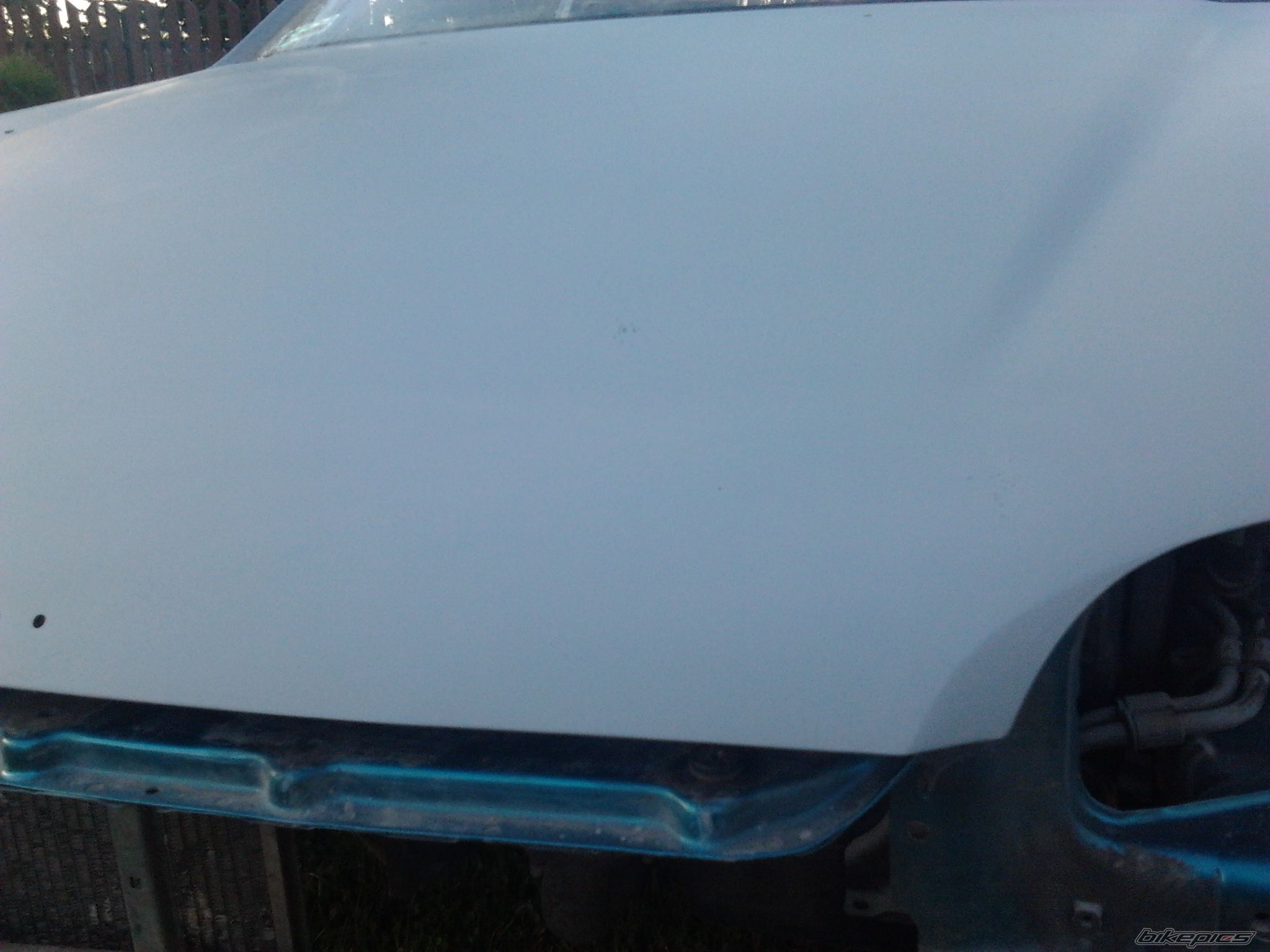 Photo 2459510
