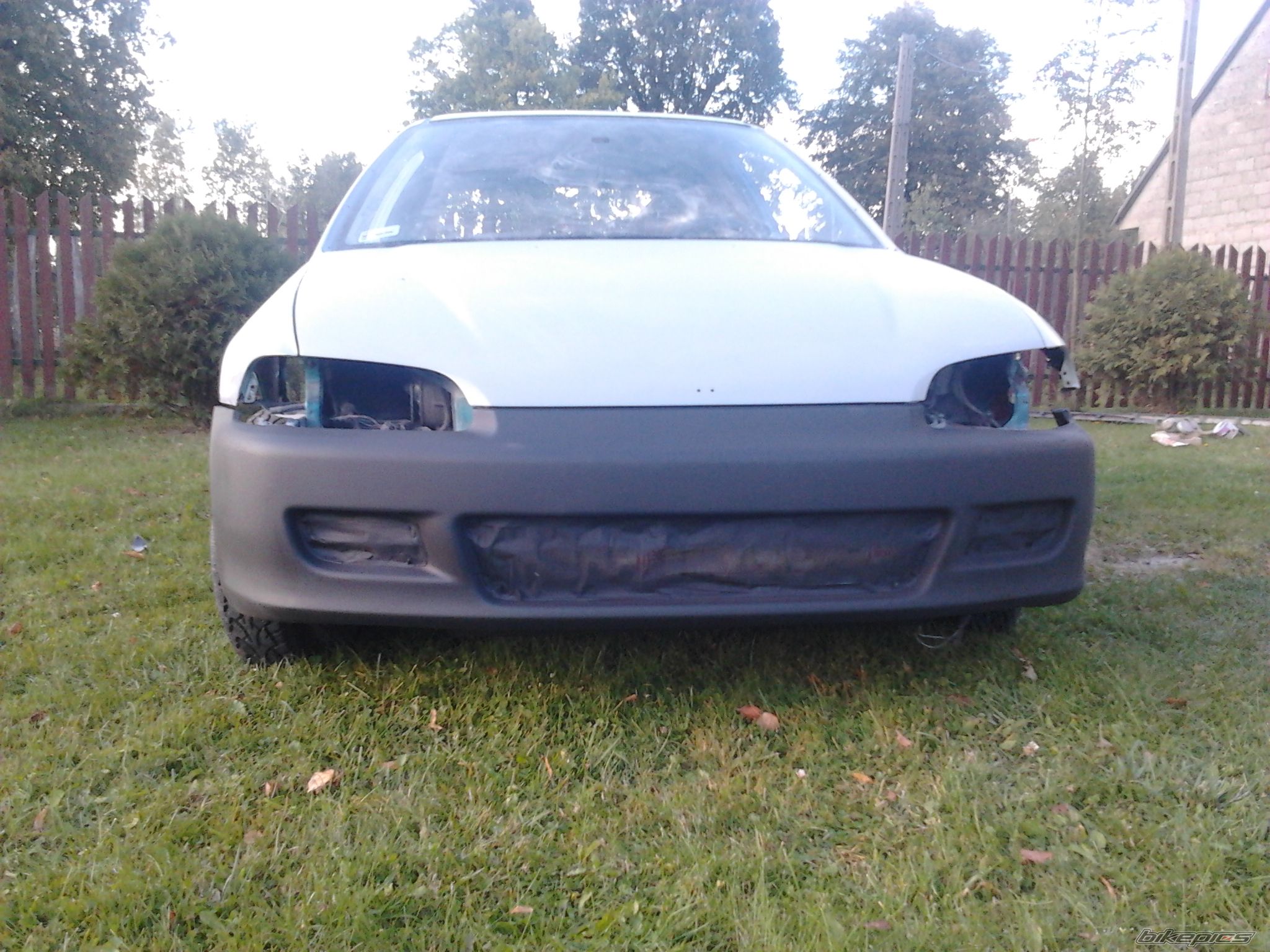 Photo 2459514
