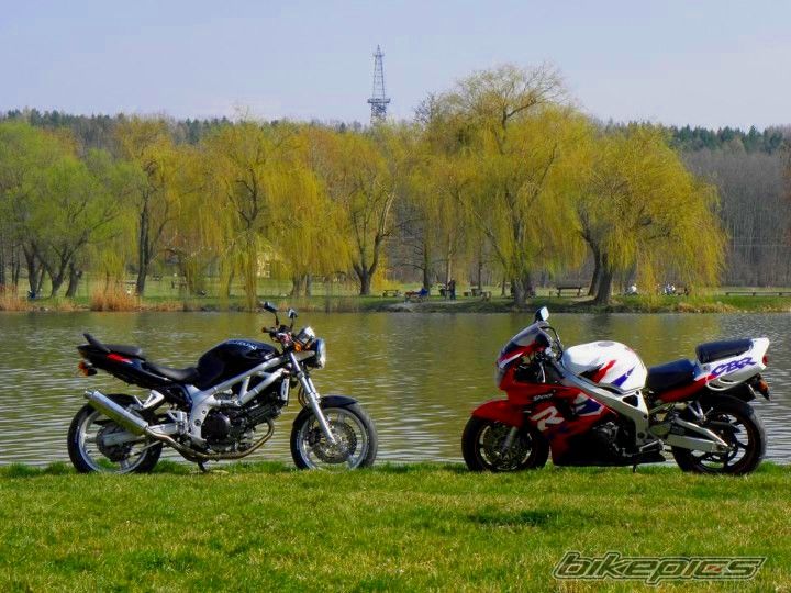 Photo 2459578