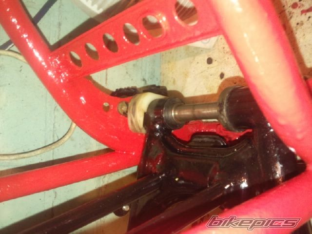 Photo 2459610