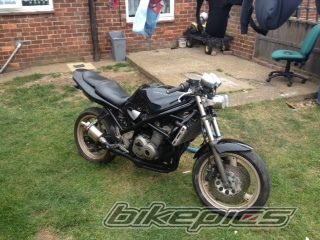 Photo 2459611