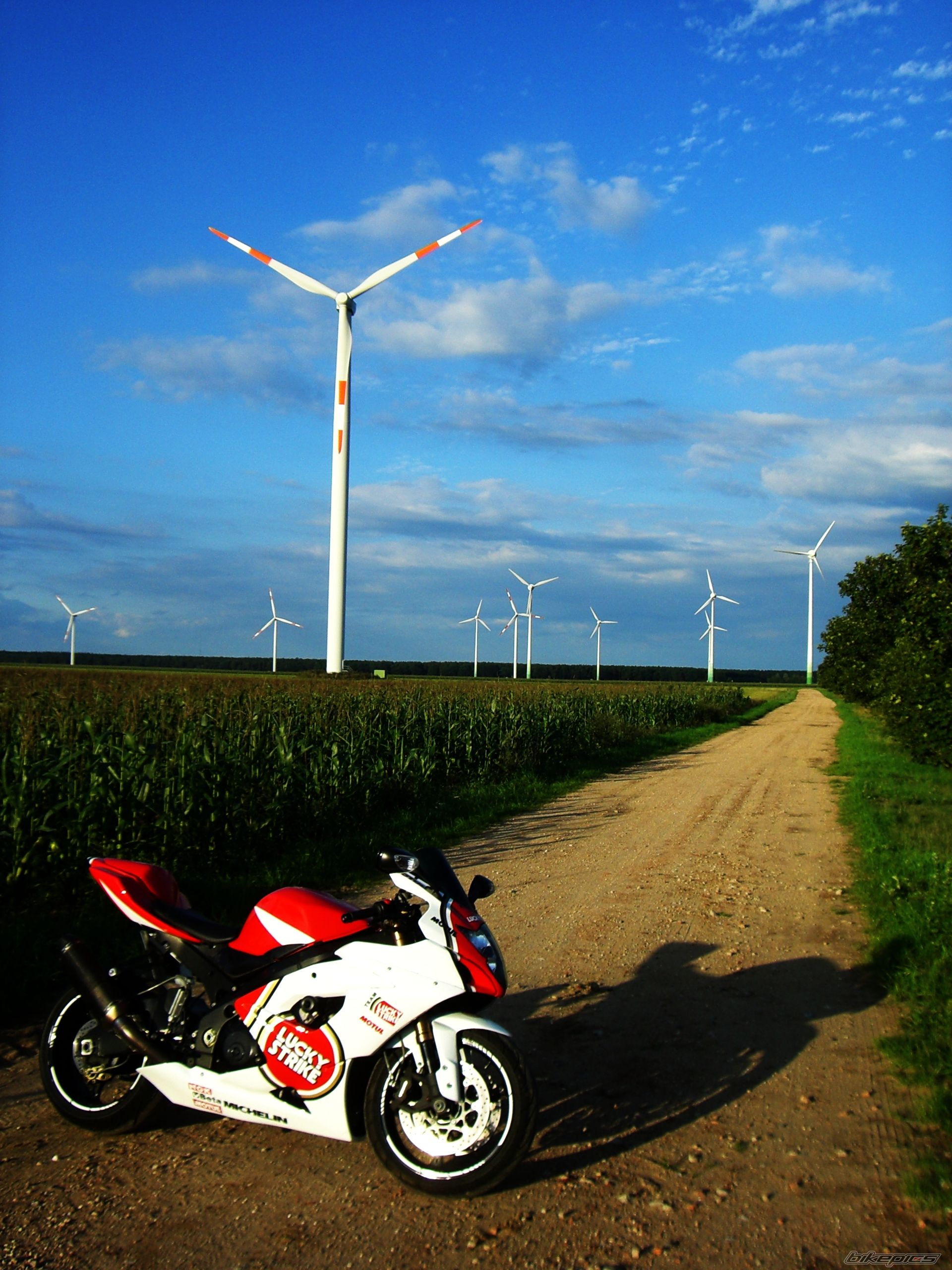Photo 2459710