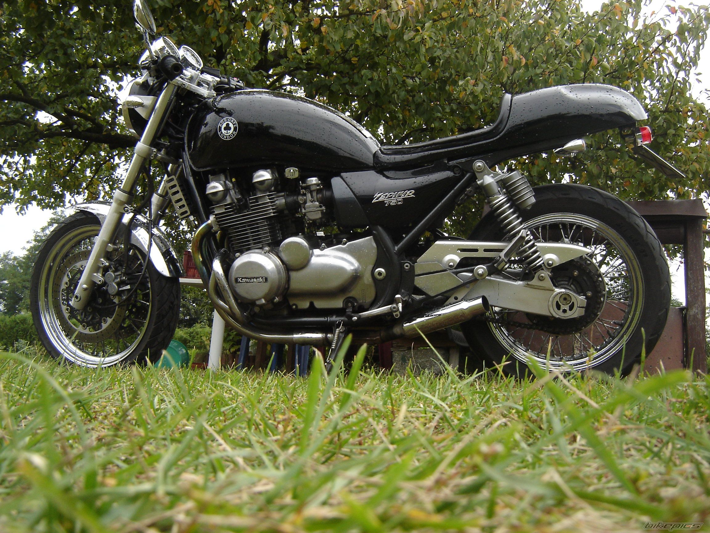 Photo 2459733