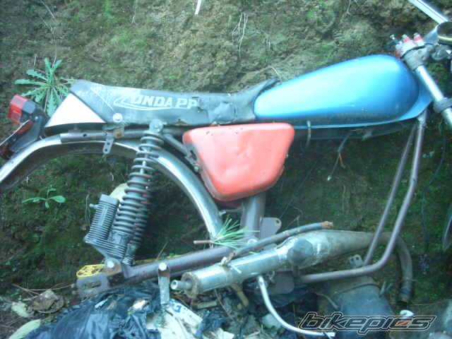 Bike Photo 245975