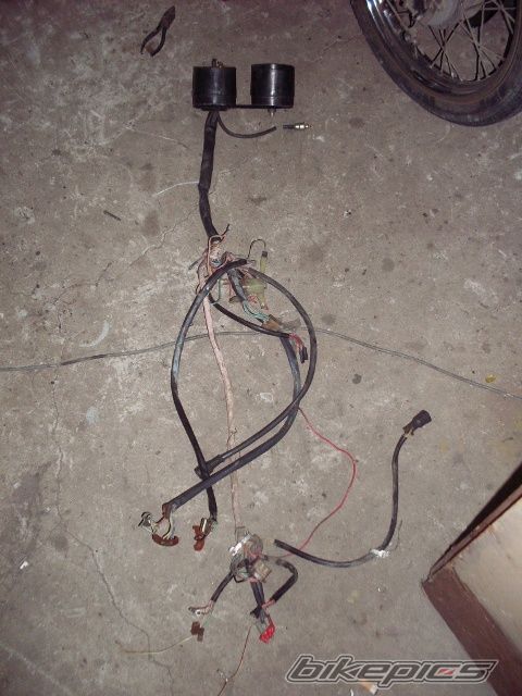 Photo 2459792