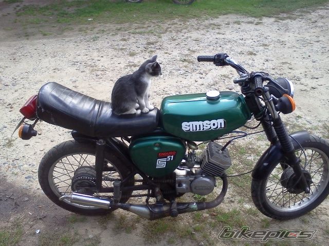 Photo 2459874