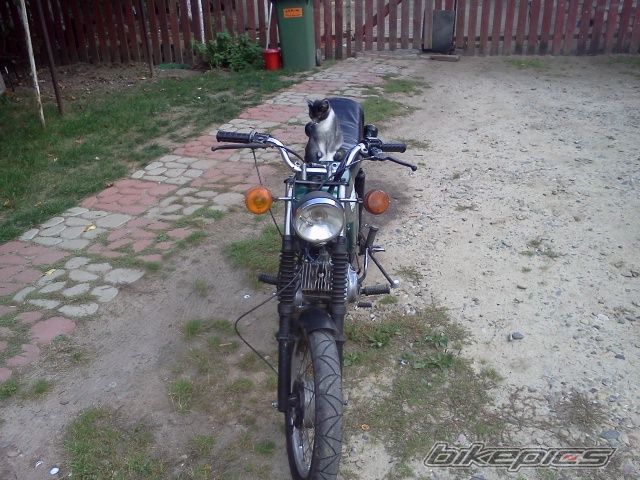 Photo 2459875