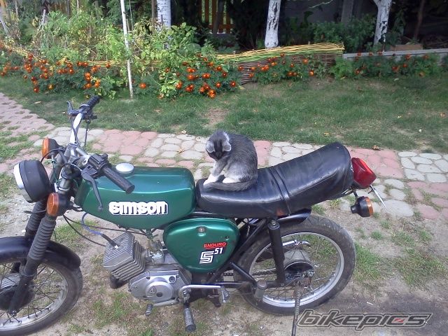 Photo 2459878
