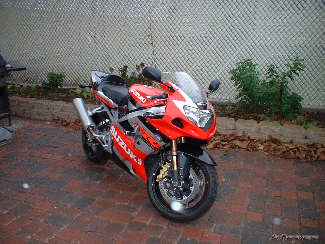Bike Photo 245990