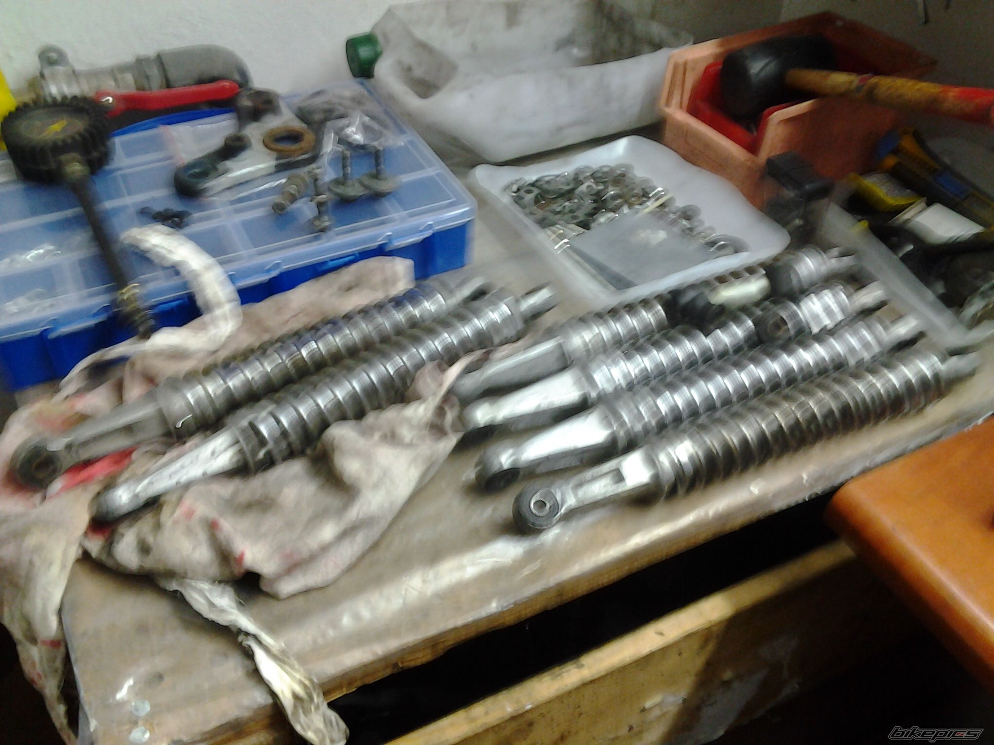 Photo 2459900