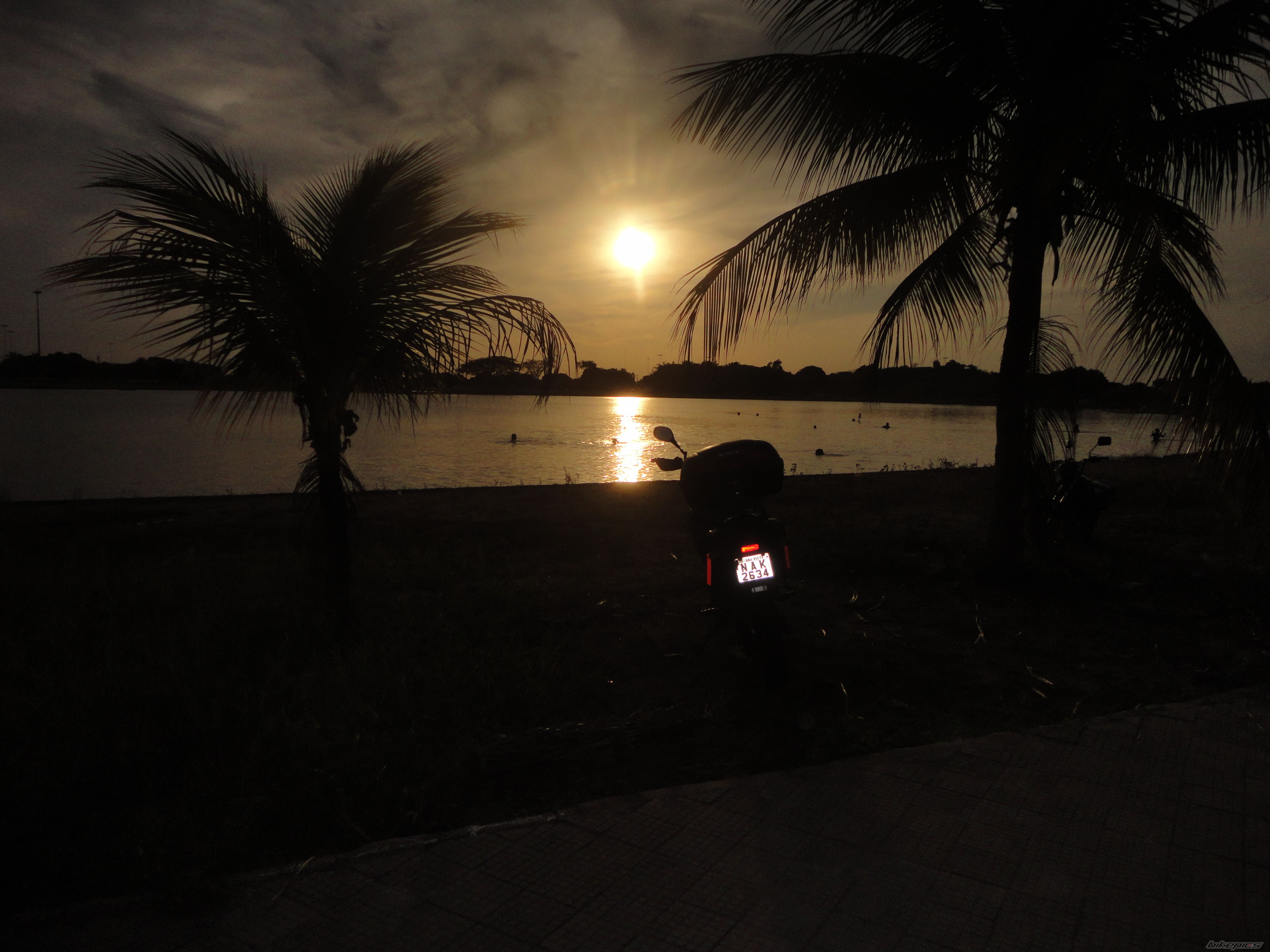 Photo 2459917