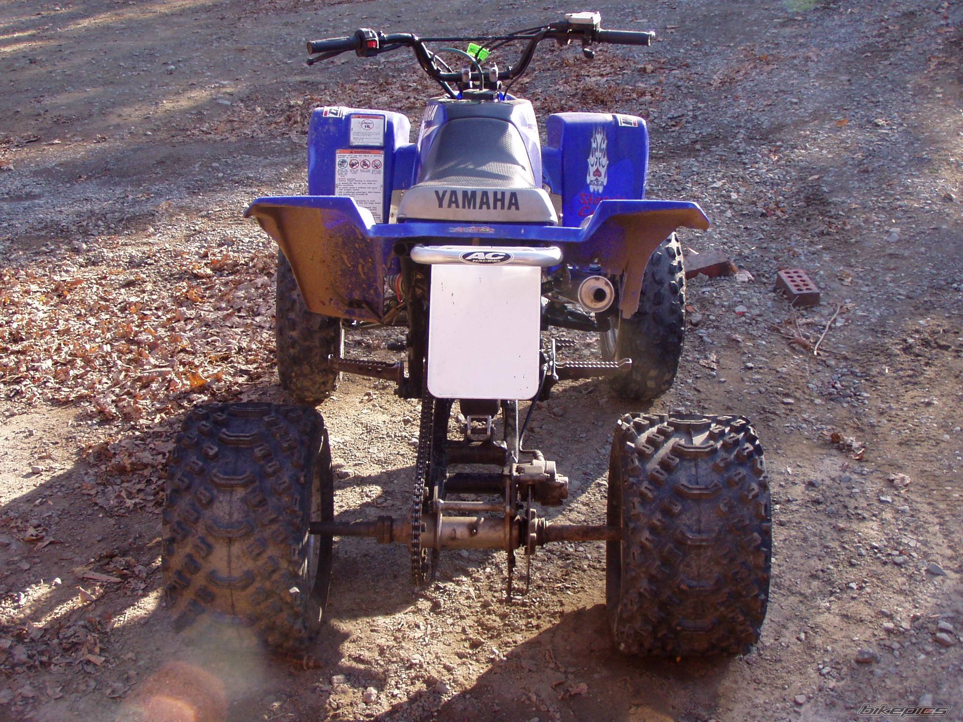 Photo 245997