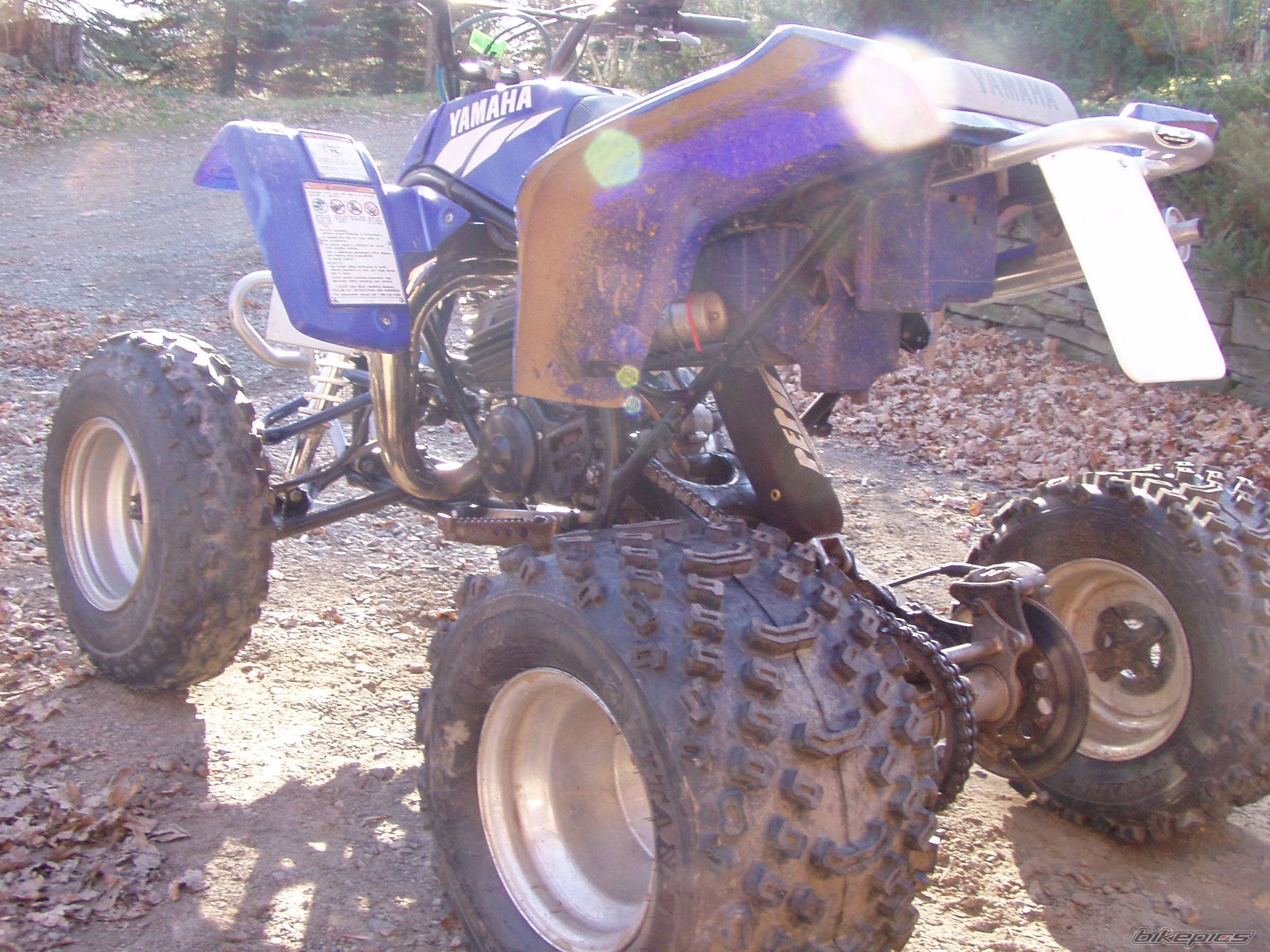 Photo 246001