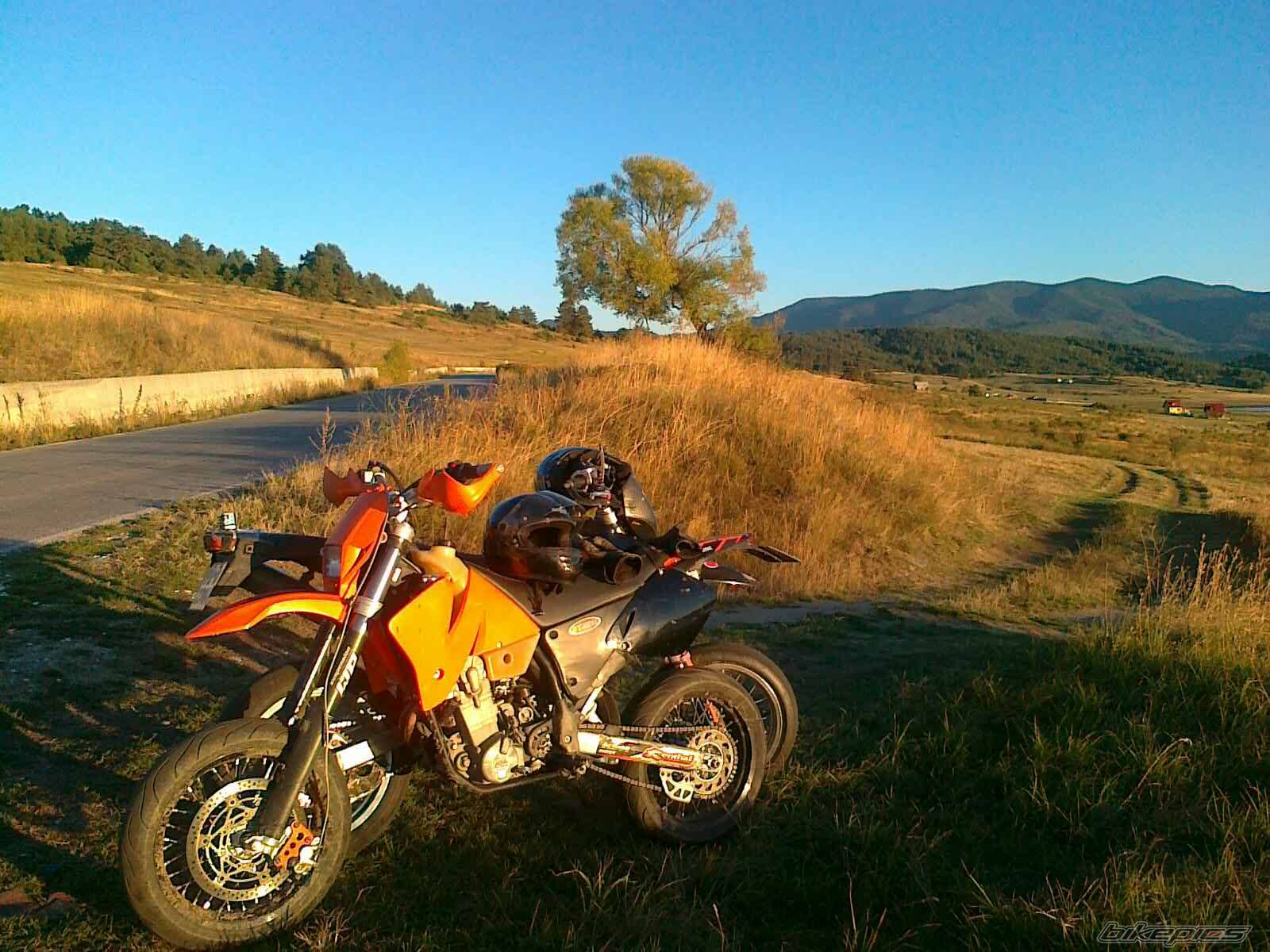 Photo 2460031