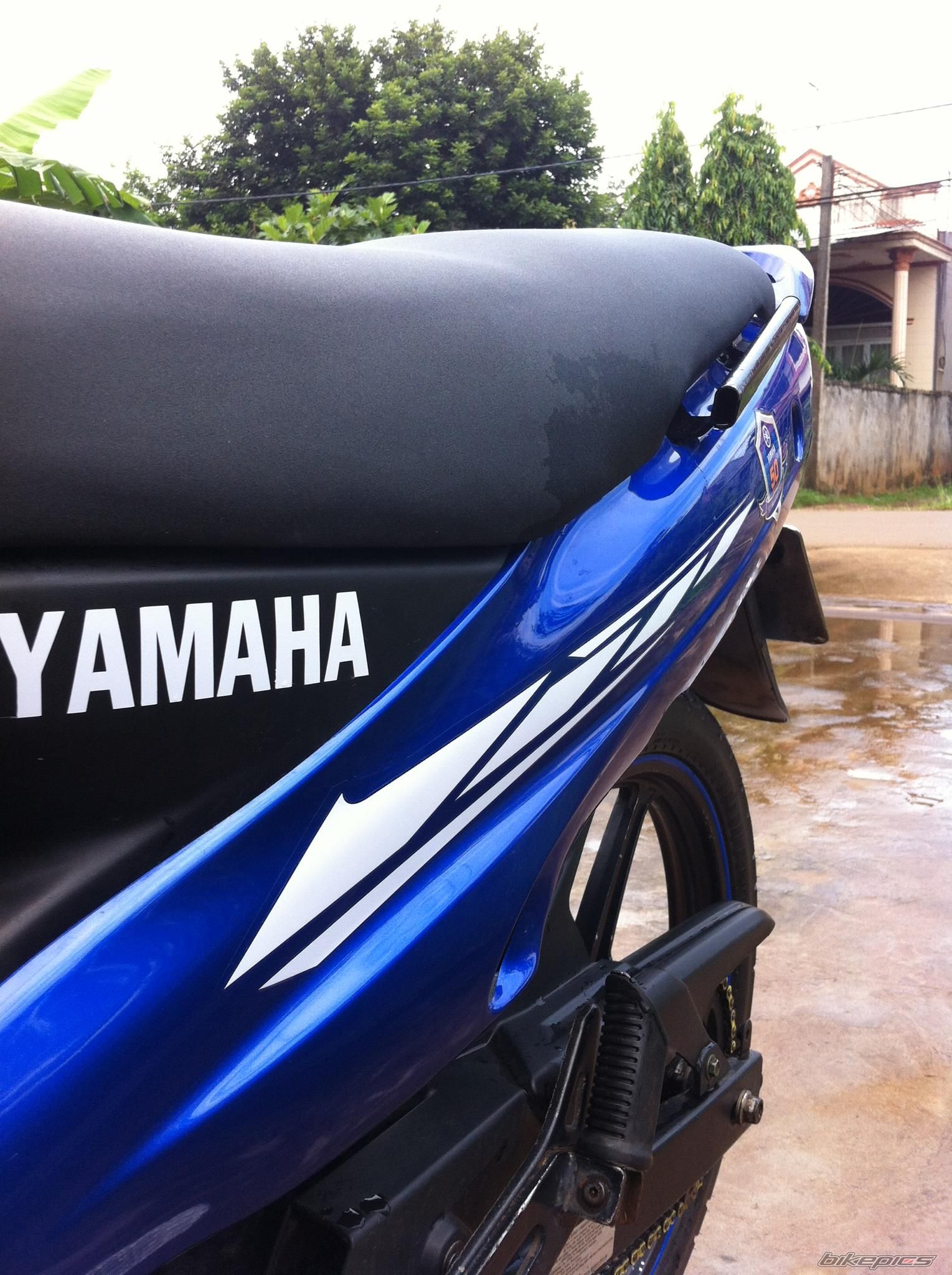 Photo 2460054