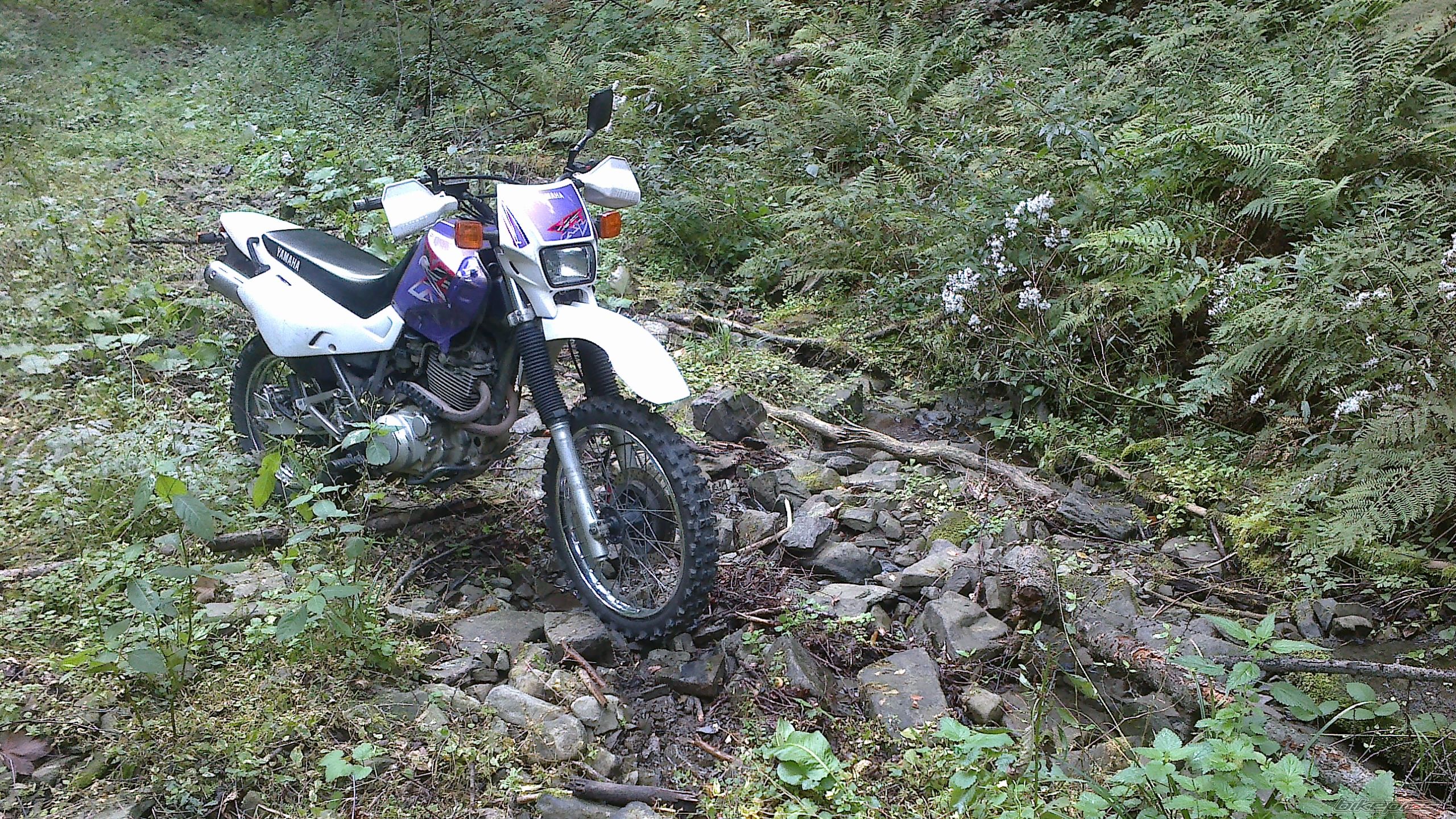 Photo 2460060