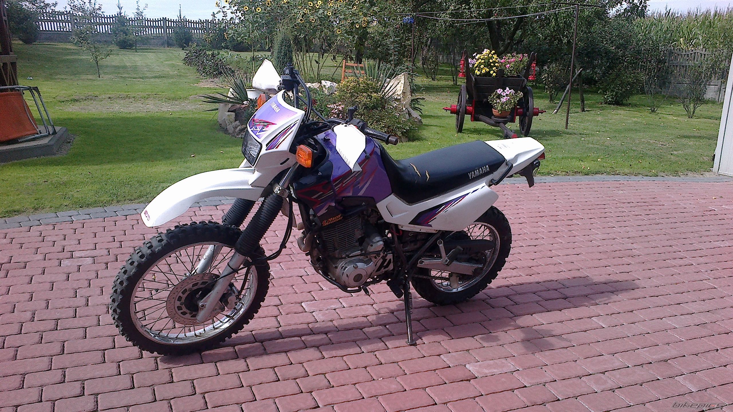 Photo 2460061
