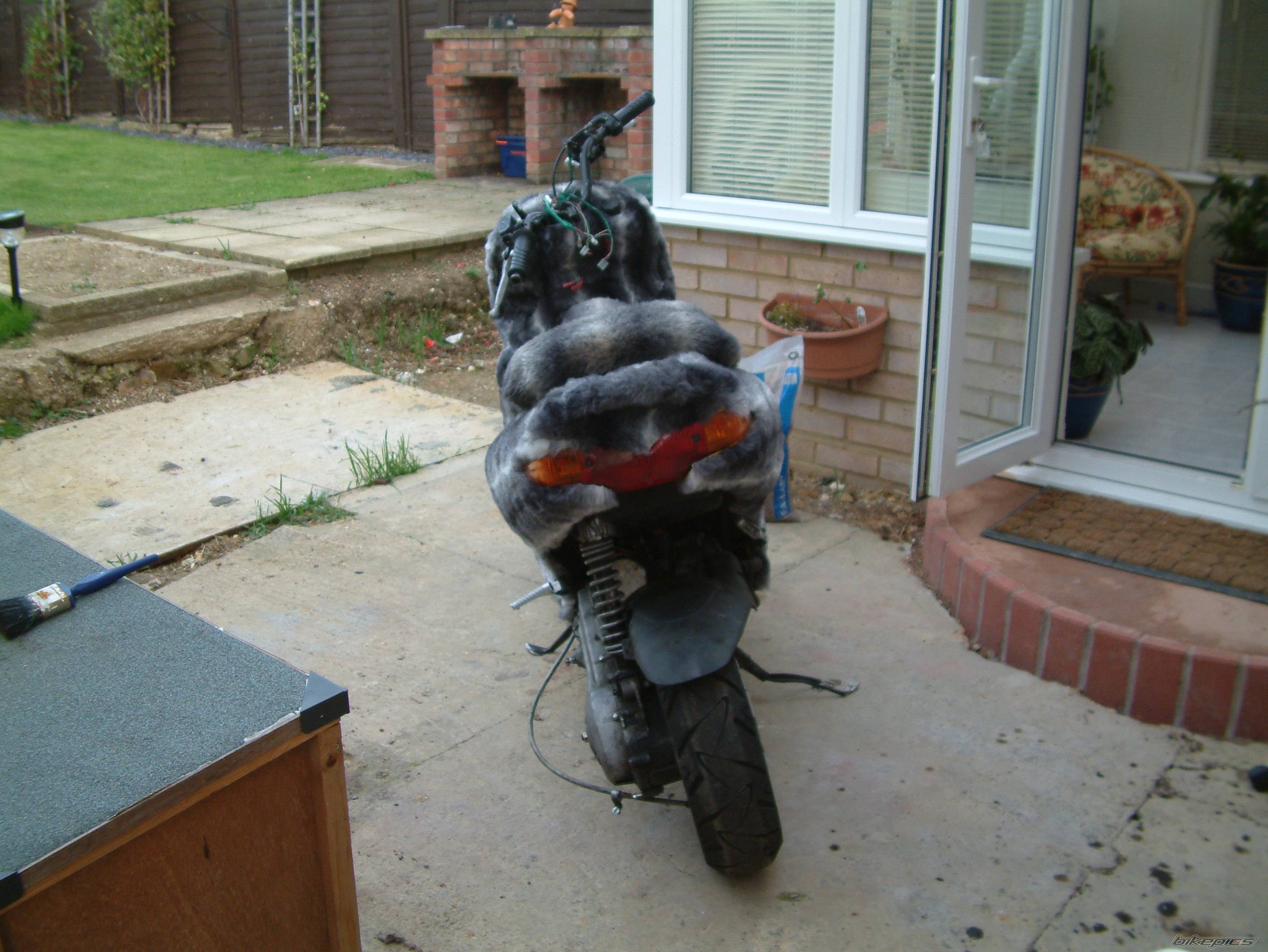 Photo 246016