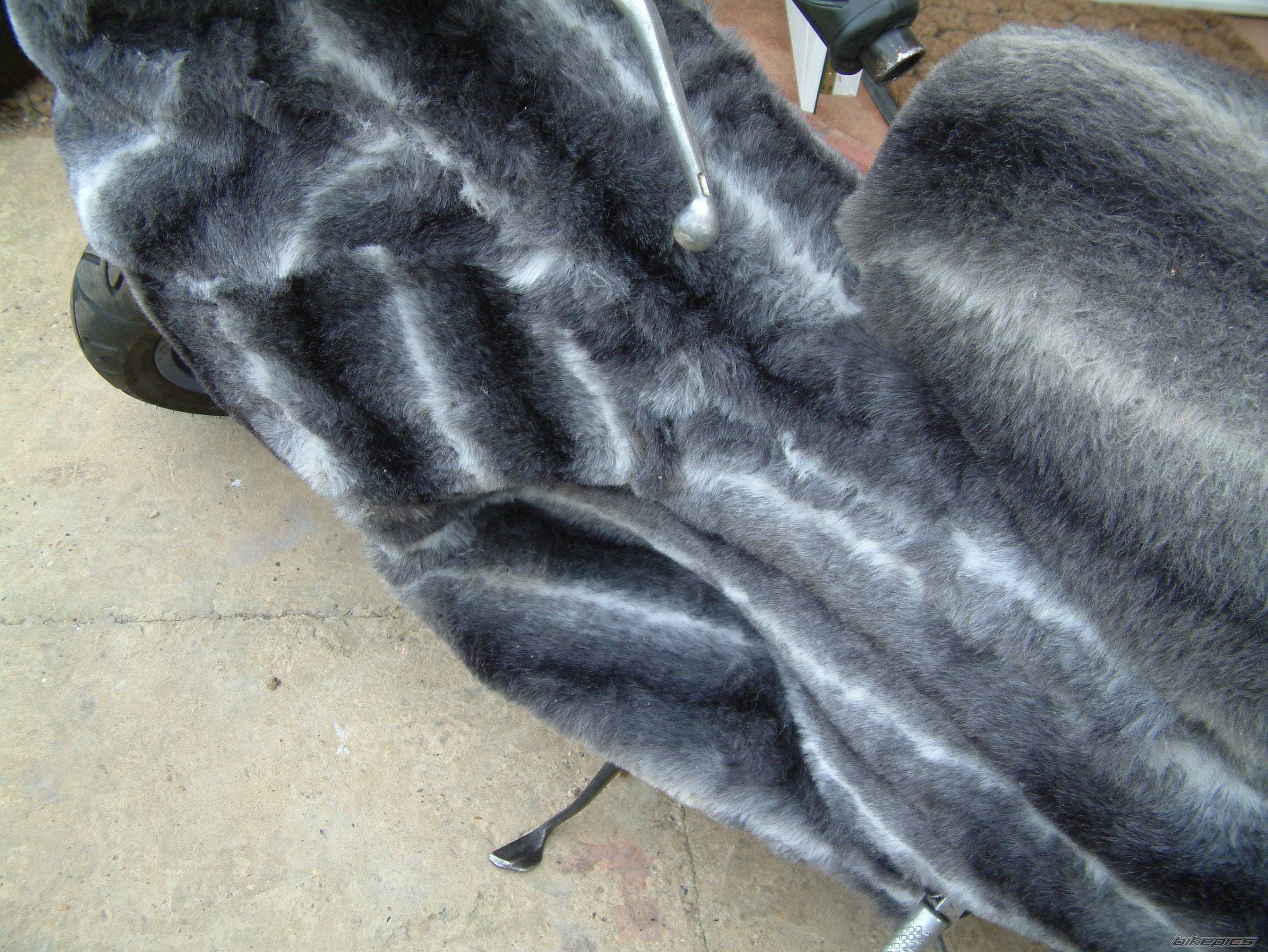 Photo 246018