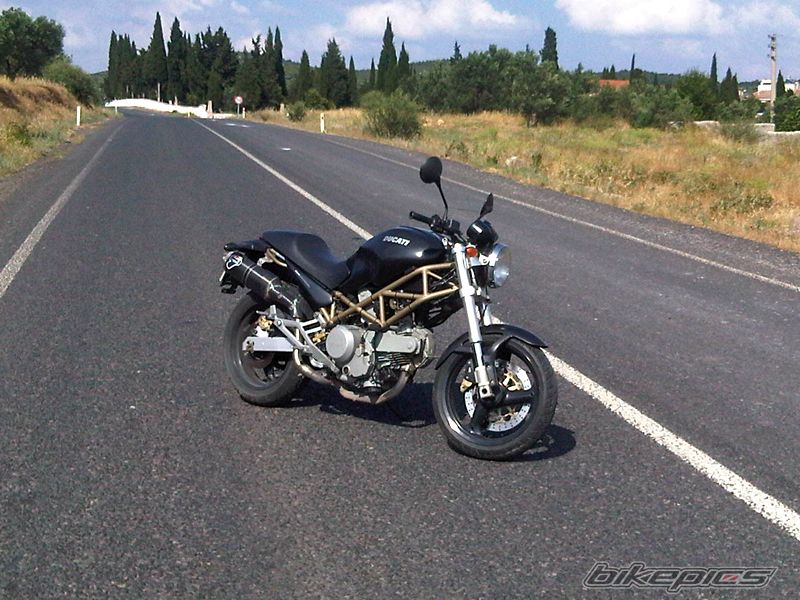 Photo 2460232