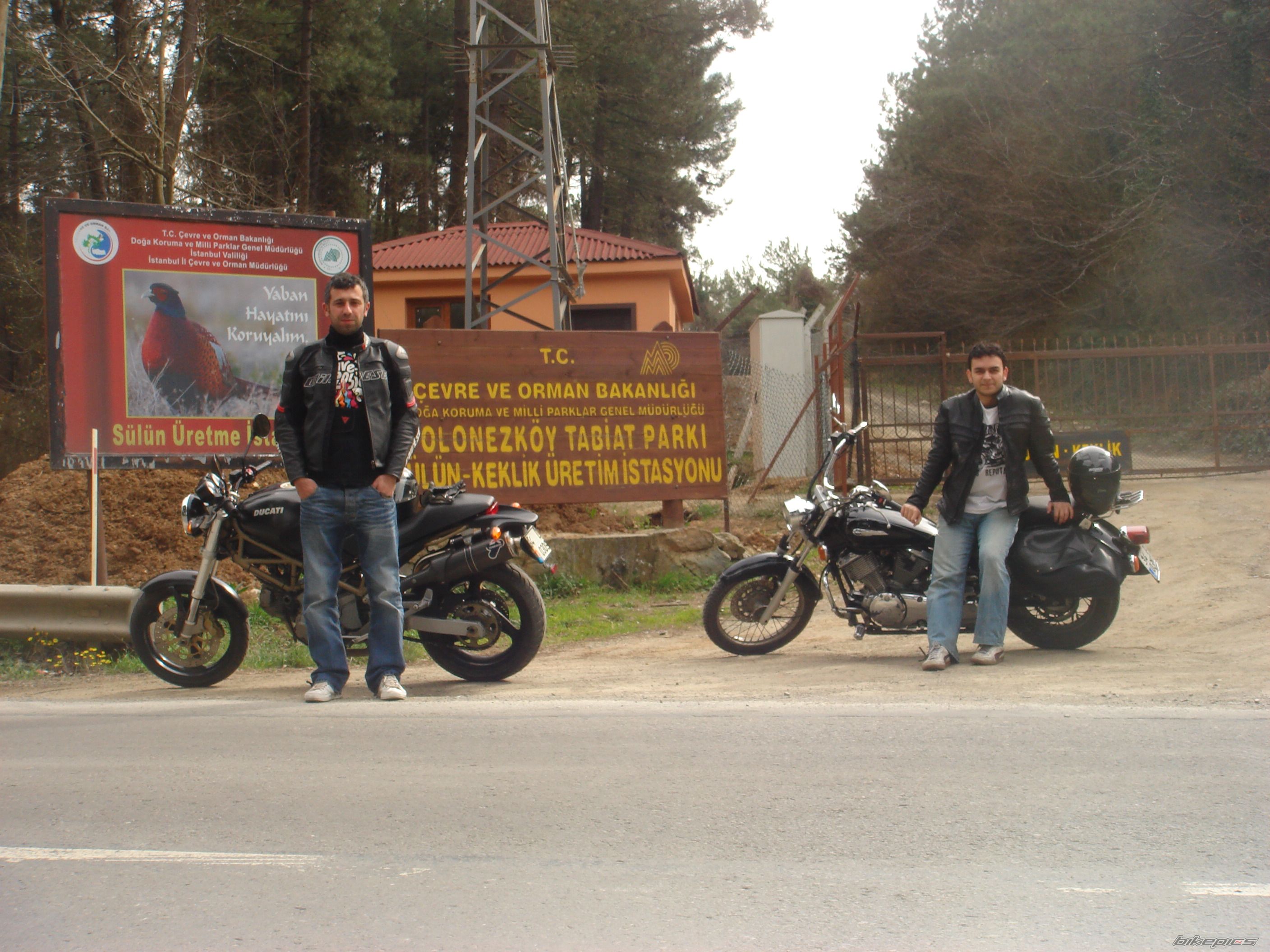 Photo 2460233
