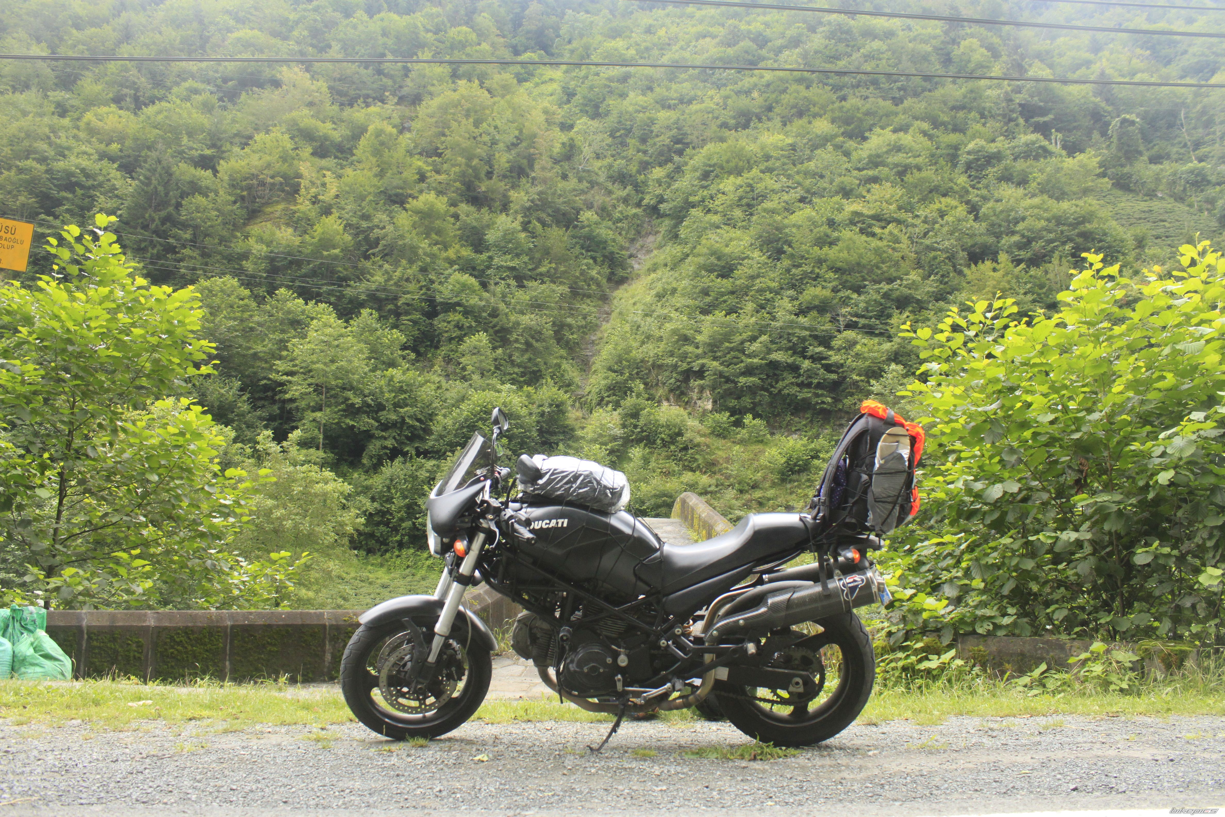 Photo 2460259