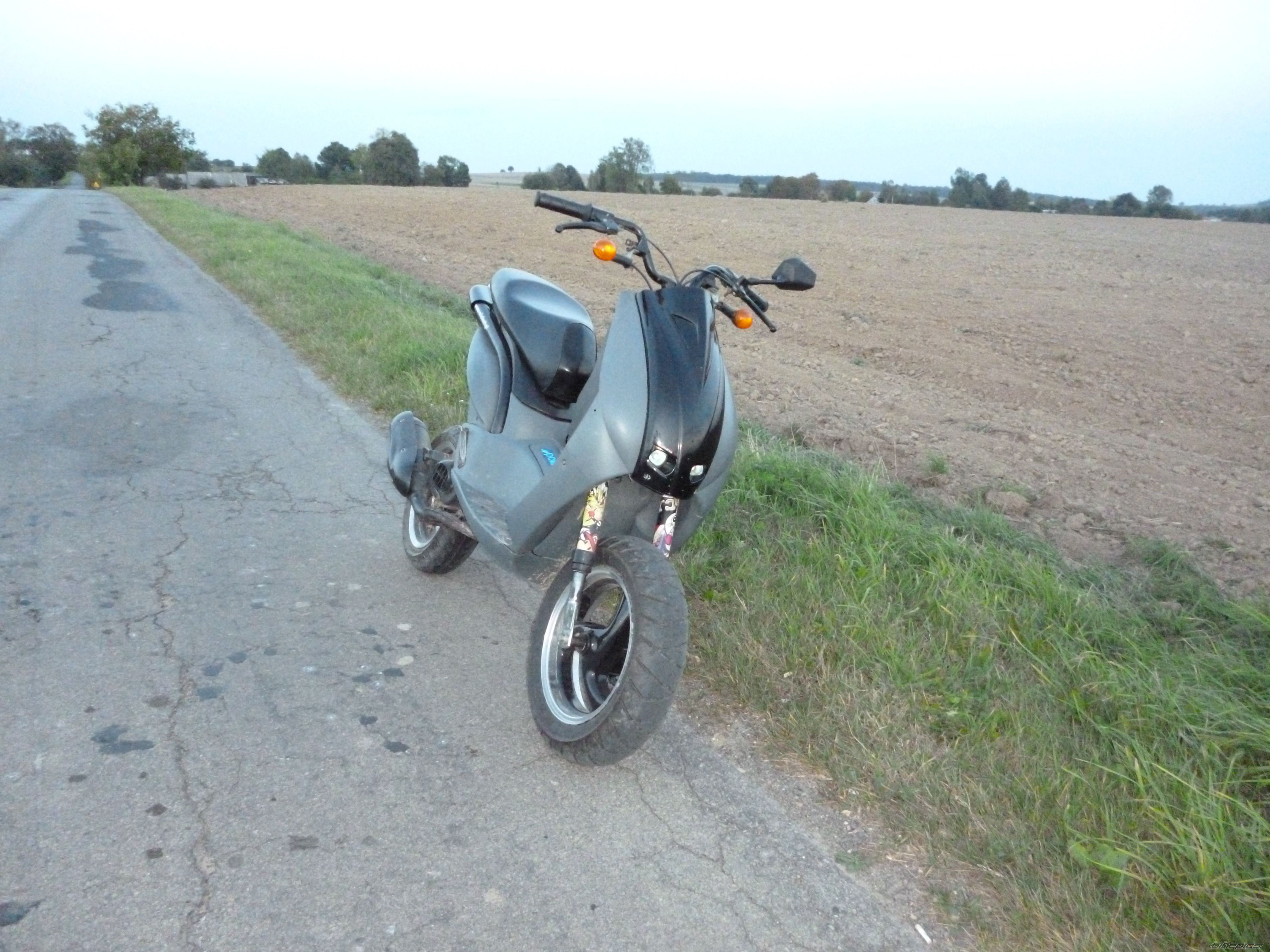 Photo 2460329