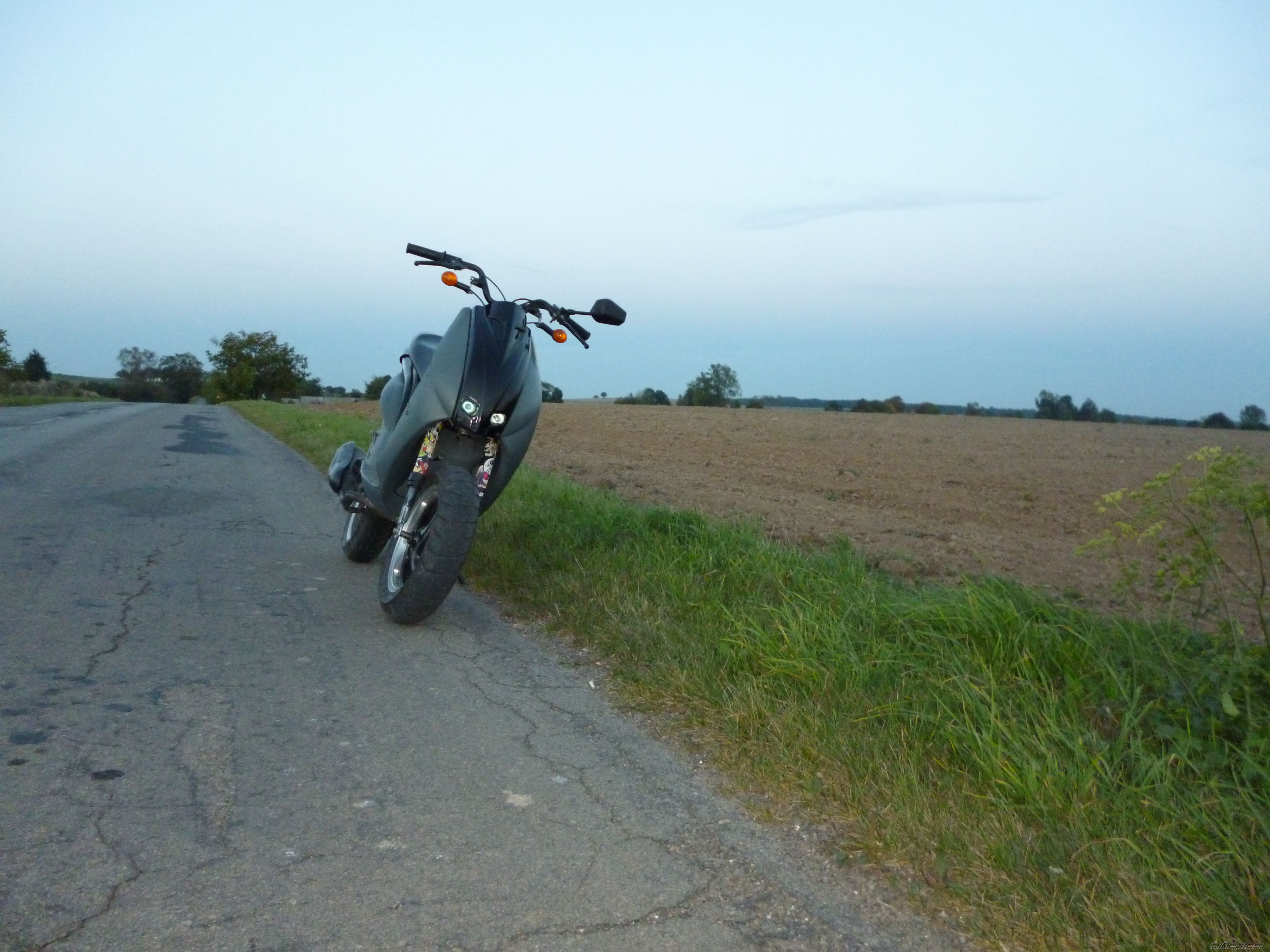 Photo 2460330
