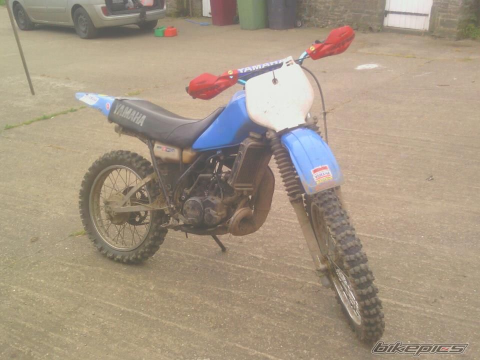 Photo 2460409