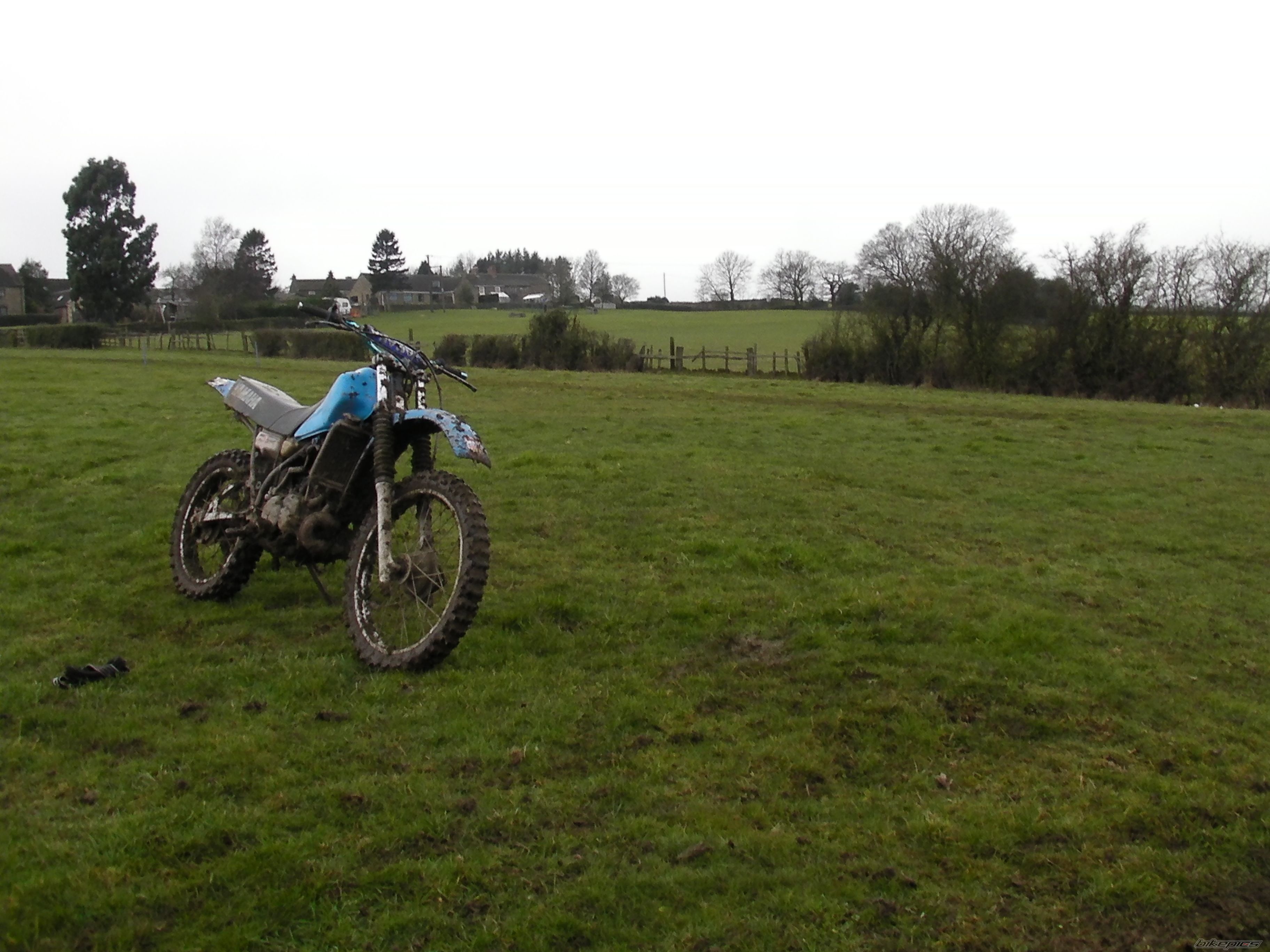 Photo 2460415