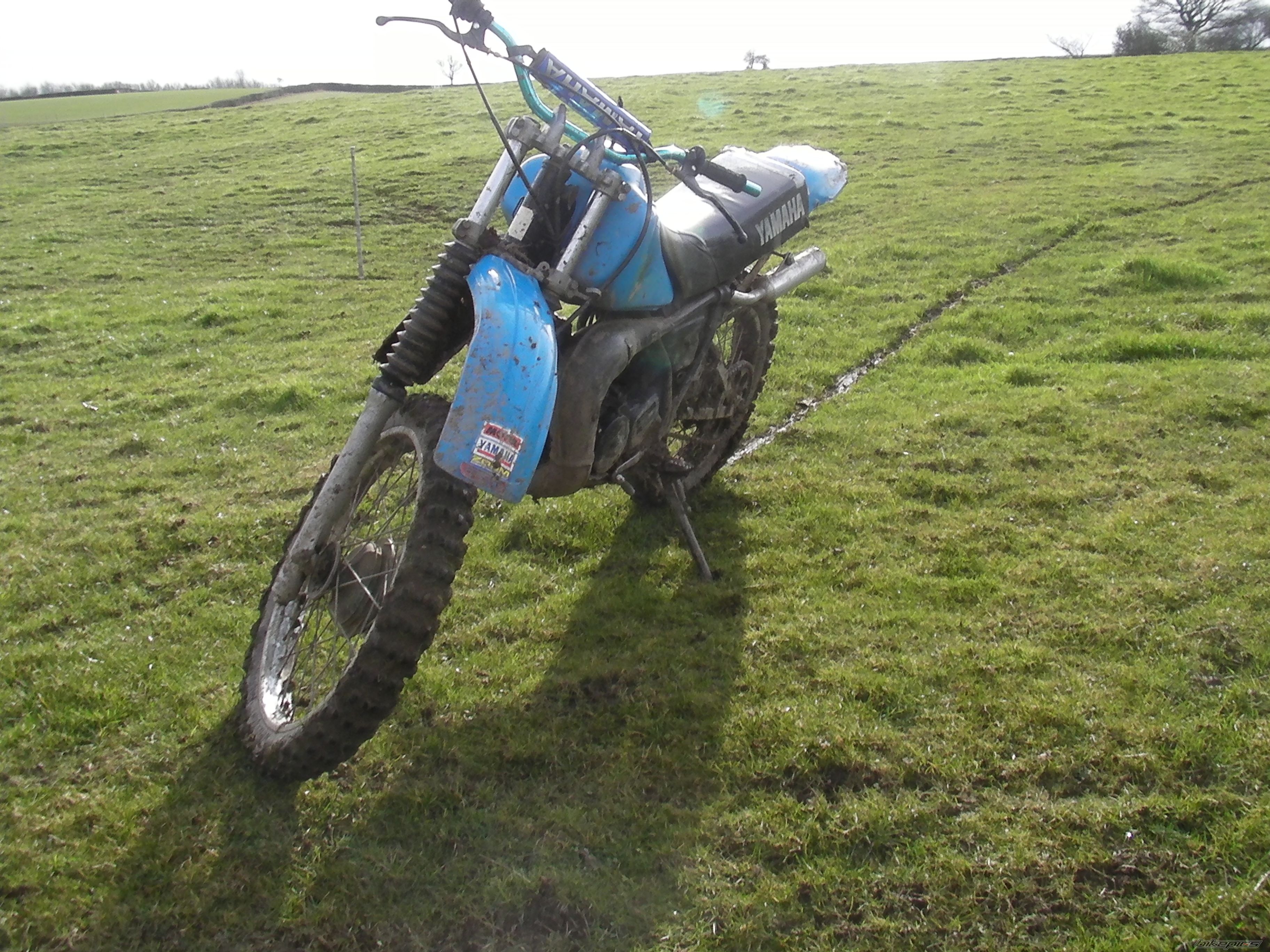 Photo 2460420